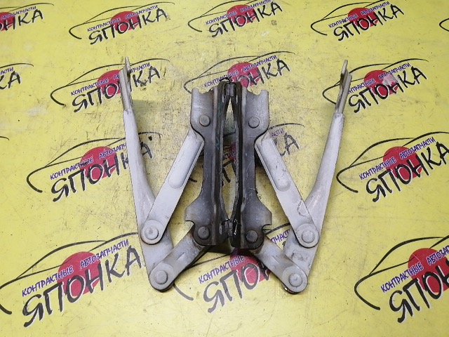 ПЕТЛЯ КАПОТА/MAZ/MILLENIA/TA5P/КОМПЛЕКТ