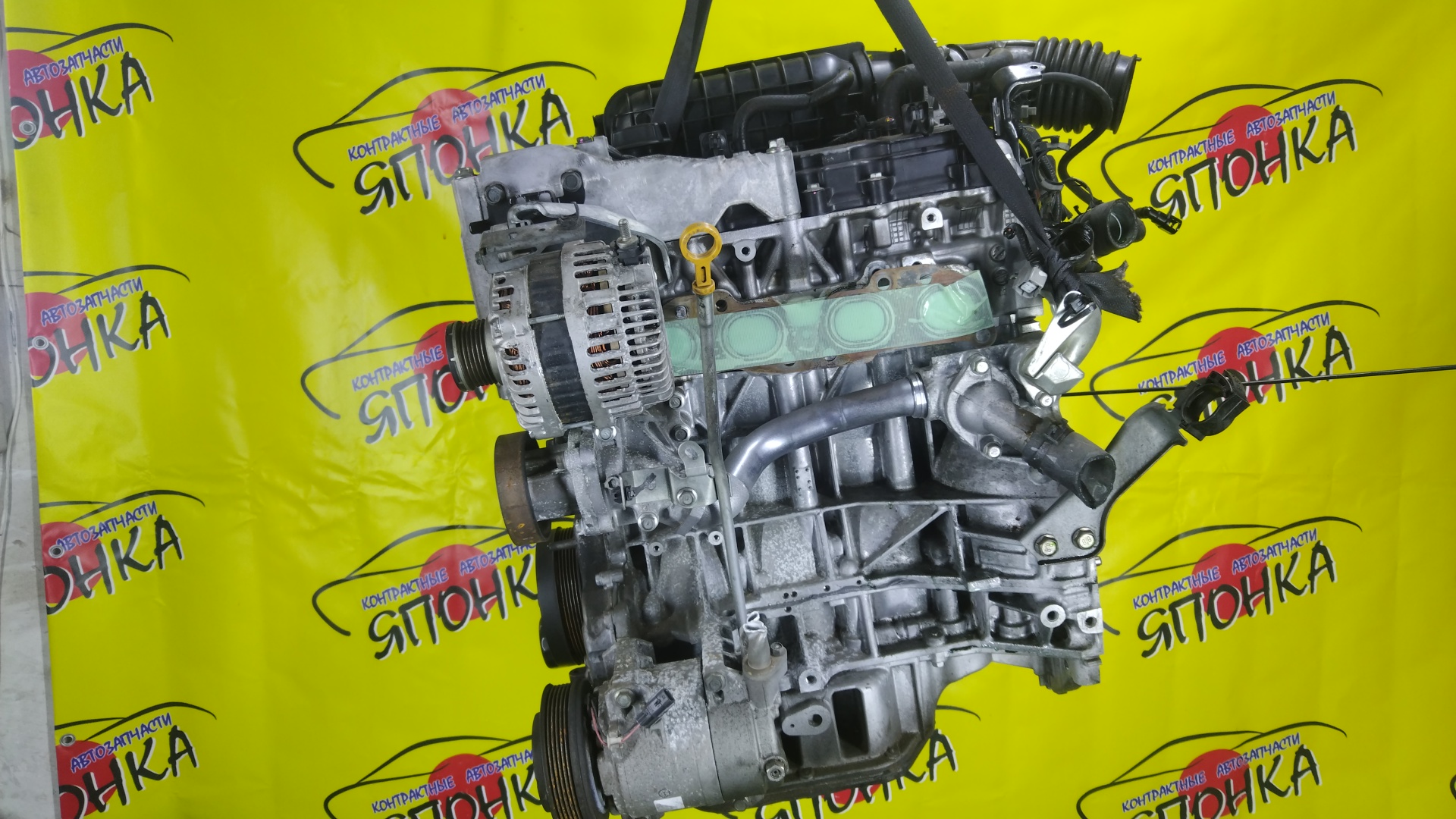 ДВС/NIS/QR25DE/ELGRAND/MURANO/TEANA/X-TRAIL/TE52/TNE52/TNJ32/TNT31/TNZ51/TZ51/2WD/4WD/221005V100/10102JC20B/10102JC2RB/101021JB0D/10102JG3AC