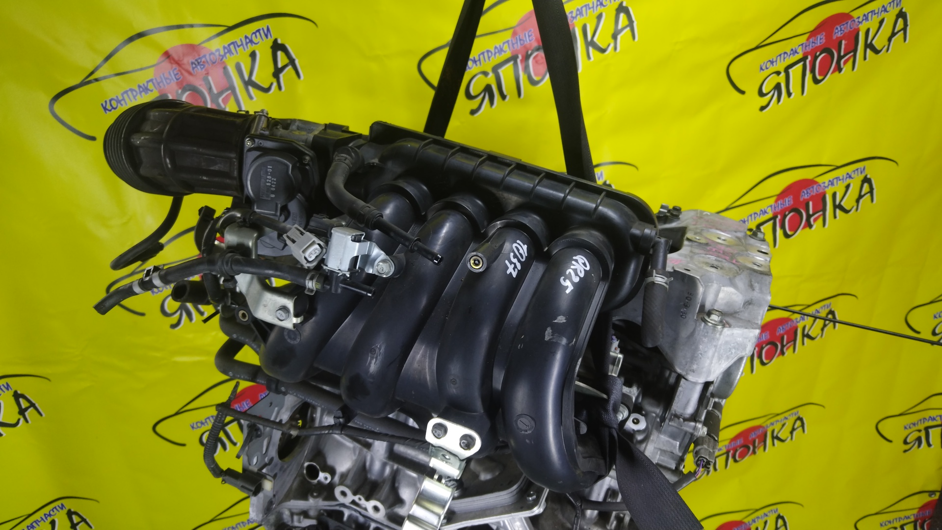 ДВС/NIS/QR25DE/ELGRAND/MURANO/TEANA/X-TRAIL/TE52/TNE52/TNJ32/TNT31/TNZ51/TZ51/2WD/4WD/221005V100/10102JC20B/10102JC2RB/101021JB0D/10102JG3AC