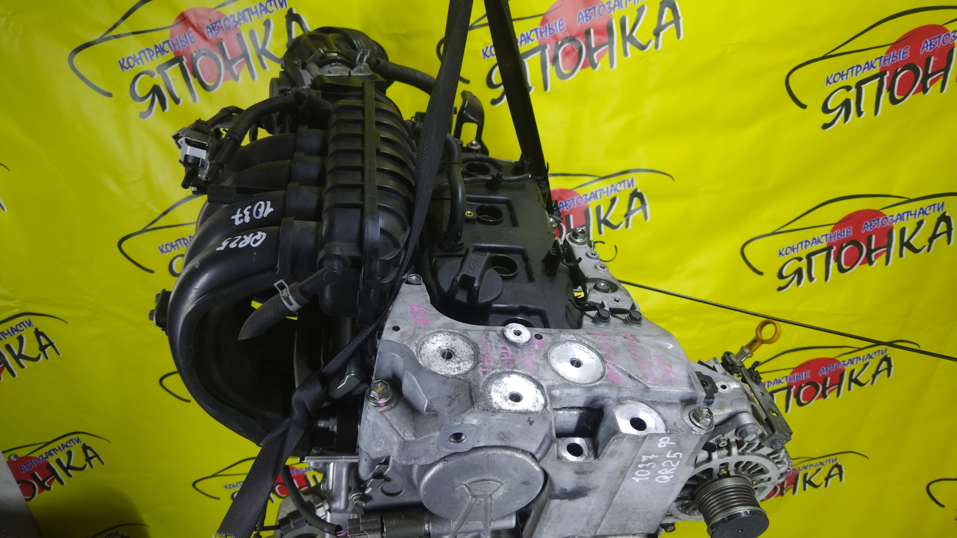 ДВС/NIS/QR25DE/ELGRAND/MURANO/TEANA/X-TRAIL/TE52/TNE52/TNJ32/TNT31/TNZ51/TZ51/2WD/4WD/221005V100/10102JC20B/10102JC2RB/101021JB0D/10102JG3AC