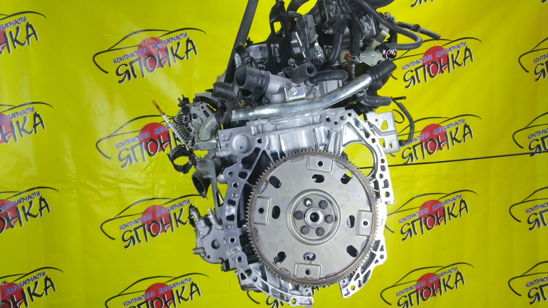 ДВС/NIS/QR25DE/ELGRAND/MURANO/TEANA/X-TRAIL/TE52/TNE52/TNJ32/TNT31/TNZ51/TZ51/2WD/4WD/221005V100/10102JC20B/10102JC2RB/101021JB0D/10102JG3AC