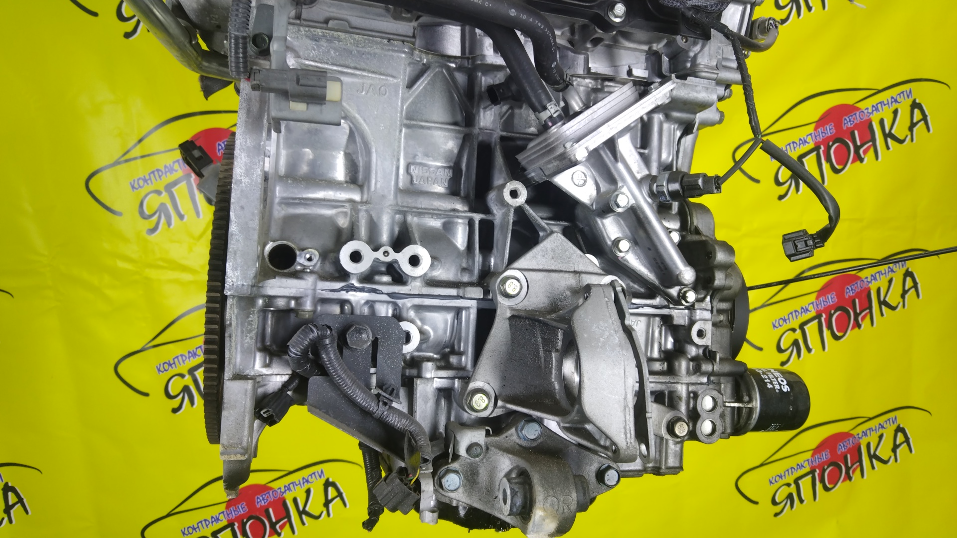 ДВС/NIS/QR25DE/ELGRAND/MURANO/TEANA/X-TRAIL/TE52/TNE52/TNJ32/TNT31/TNZ51/TZ51/2WD/4WD/221005V100/10102JC20B/10102JC2RB/101021JB0D/10102JG3AC
