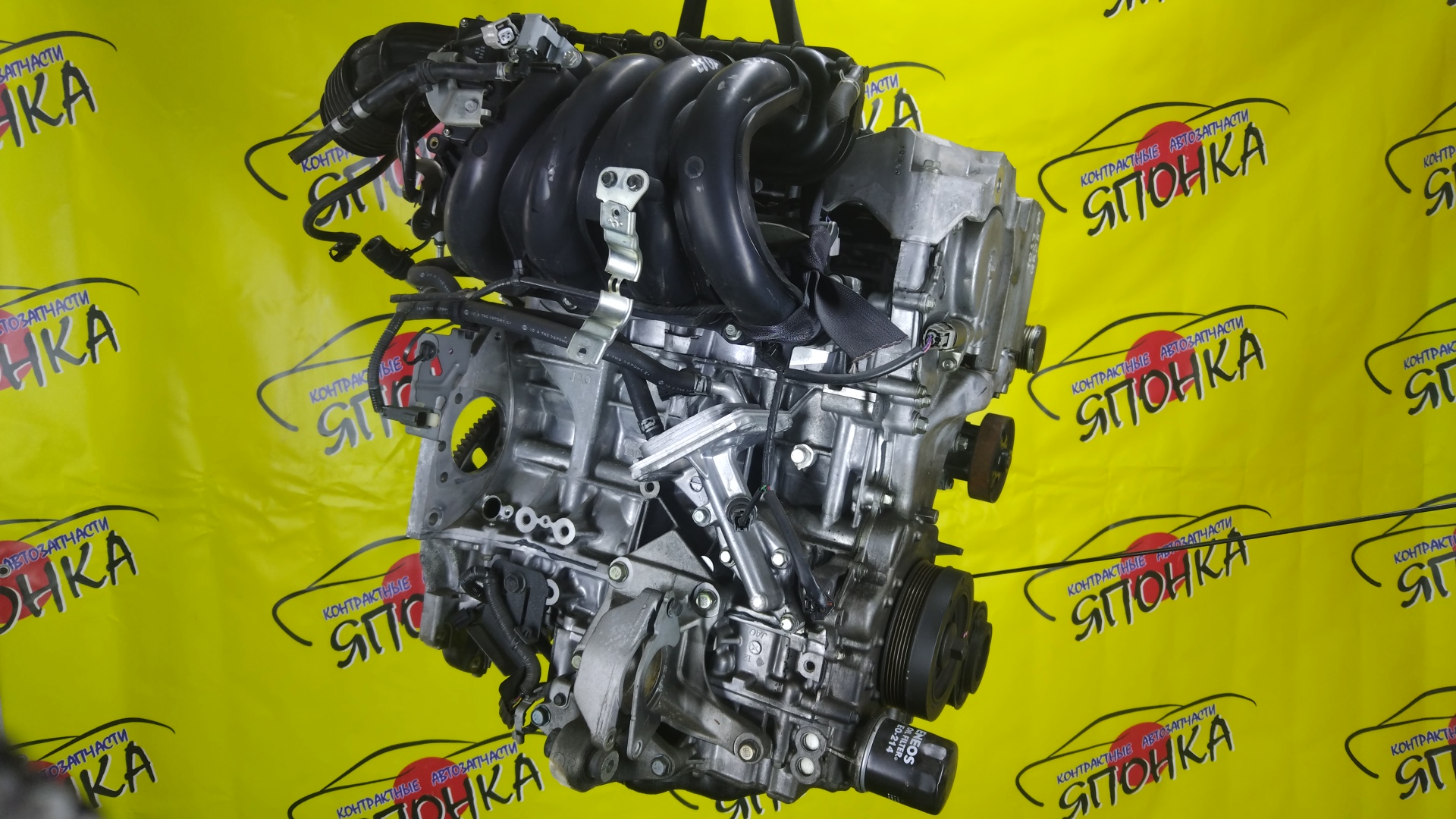 ДВС/NIS/QR25DE/ELGRAND/MURANO/TEANA/X-TRAIL/TE52/TNE52/TNJ32/TNT31/TNZ51/TZ51/2WD/4WD/221005V100/10102JC20B/10102JC2RB/101021JB0D/10102JG3AC