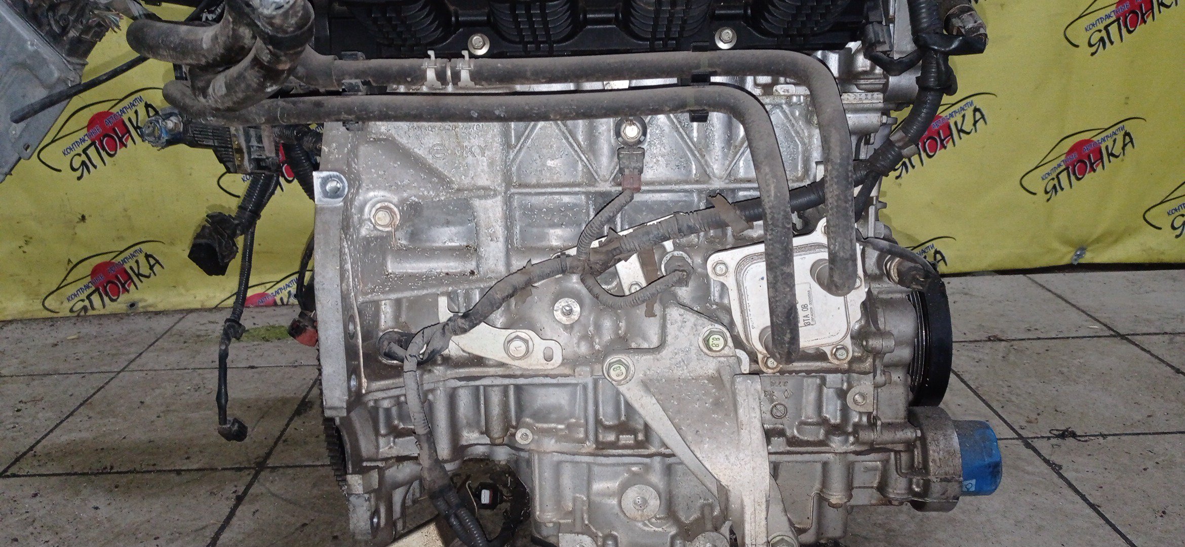 ДВС/NIS/QR25DE/ELGRAND/MURANO/TEANA/X-TRAIL/TE52/TNE52/TNJ32/TNT31/TNZ51/TZ51/2WD/4WD/221005V100/10102JC20B/10102JC2RB/101021JB0D/10102JG3AC