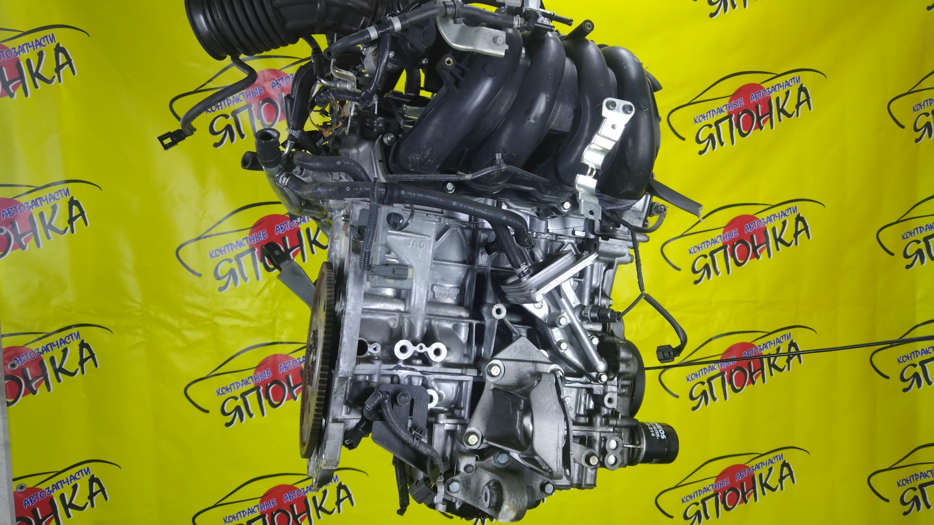 ДВС/NIS/QR25DE/ELGRAND/MURANO/TEANA/X-TRAIL/TE52/TNE52/TNJ32/TNT31/TNZ51/TZ51/2WD/4WD/221005V100/10102JC20B/10102JC2RB/101021JB0D/10102JG3AC