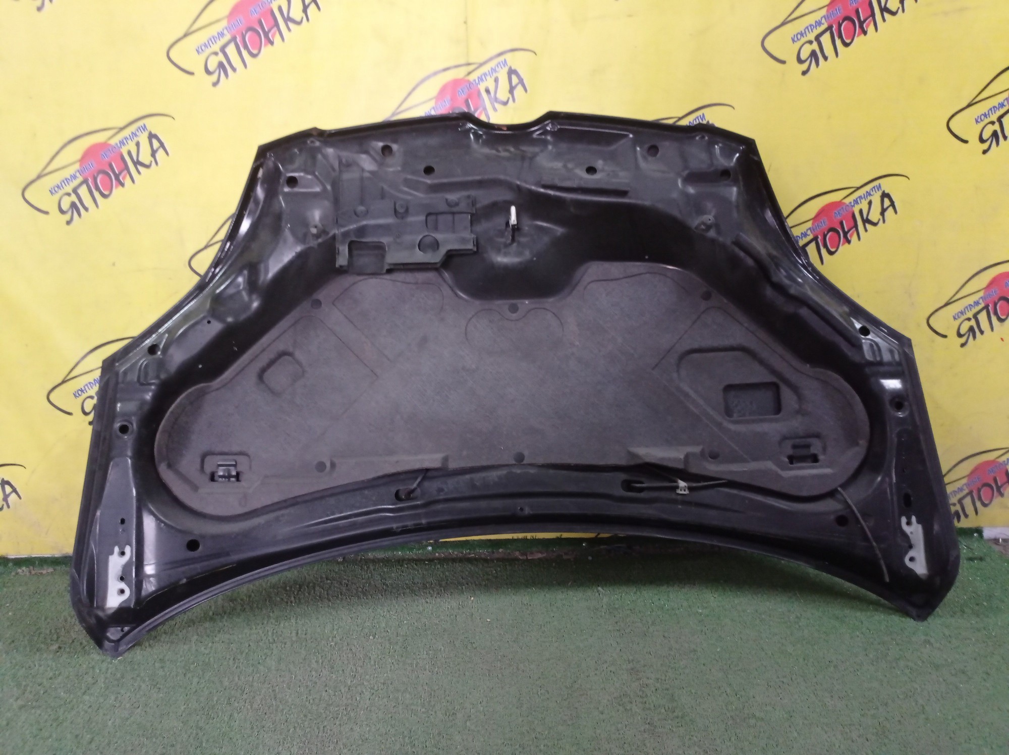 КАПОТ/MAZ/DEMIO/DY3R/DY3W/DY5R/DY5W/2 МОДЕЛЬ/D5Y15231X