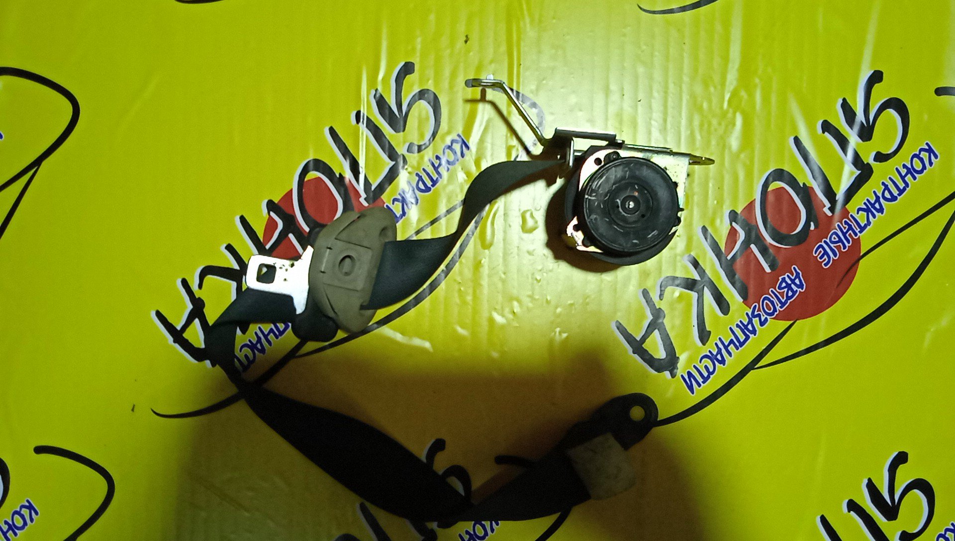 РЕМЕНЬ БЕЗОПАСНОСТИ/NIS/AD/WINGROAD/Y12/B/L