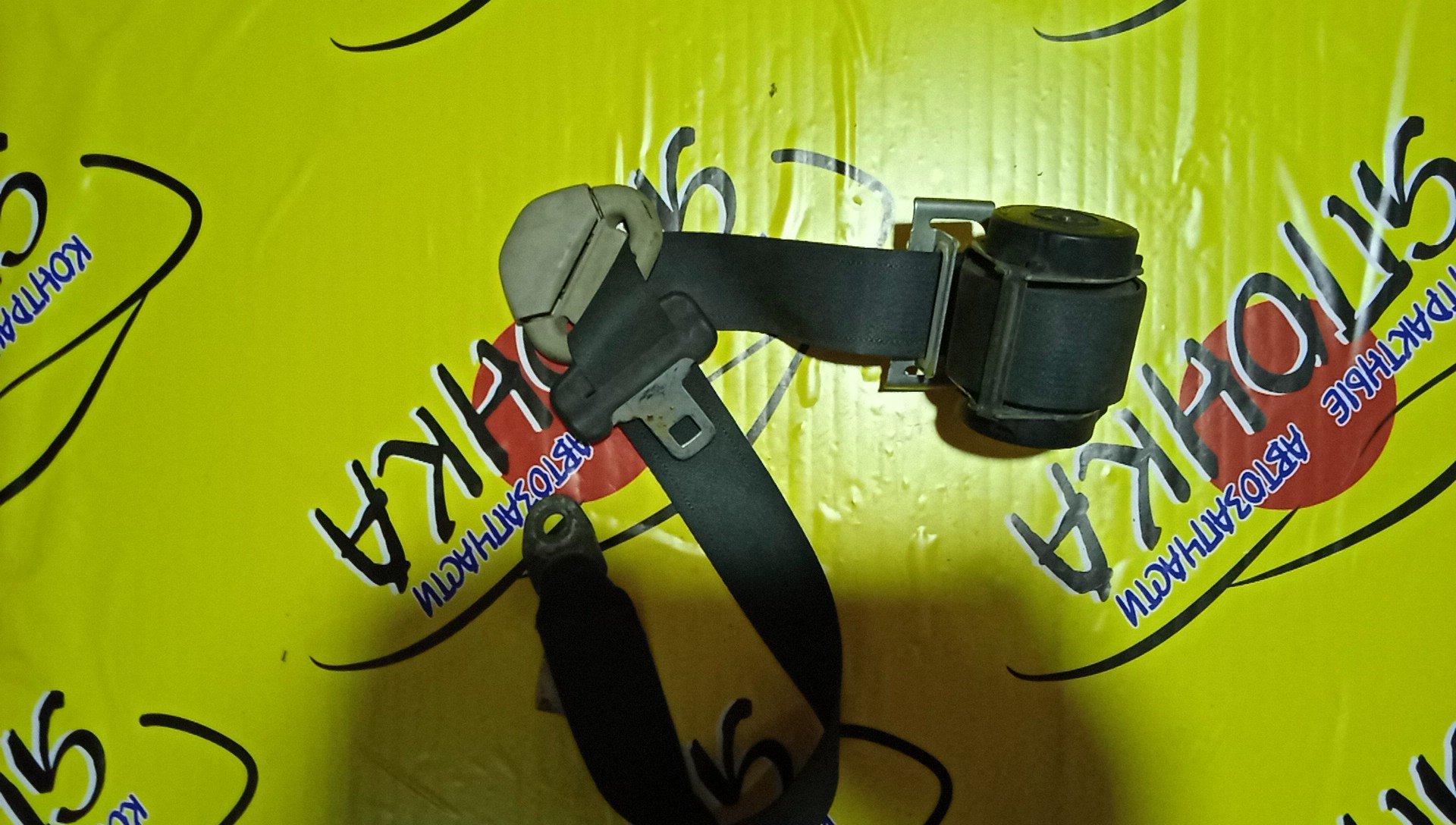 РЕМЕНЬ БЕЗОПАСНОСТИ/NIS/AD/WINGROAD/Y12/B/L