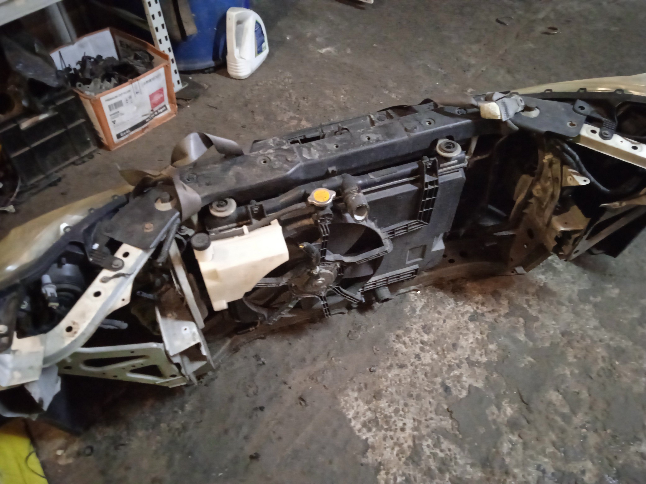 NOSECUT/NIS/AD/AD EXPERT/FAMILIA VAN/Y12/1 МОДЕЛЬ