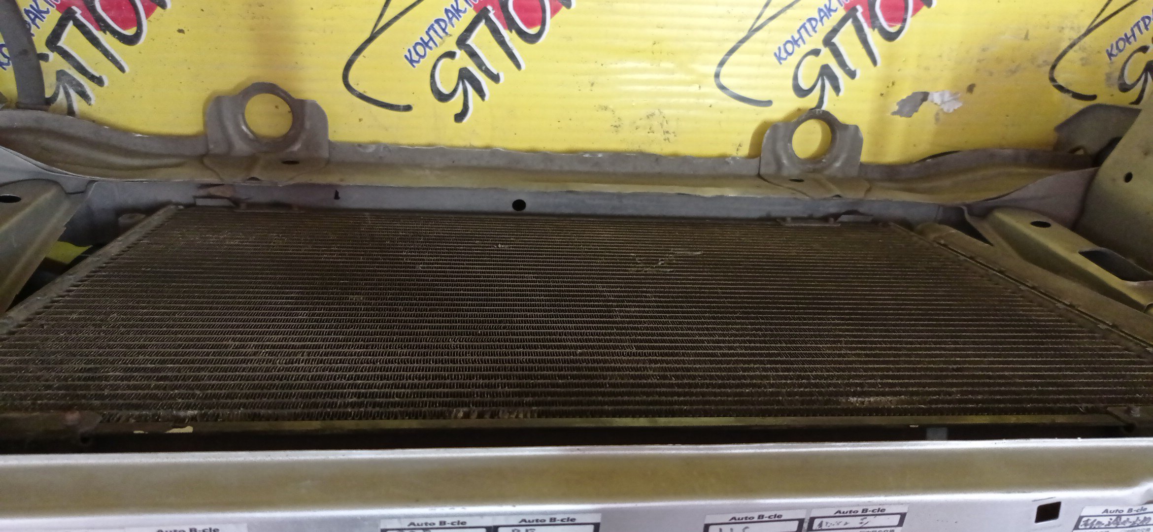 NOSECUT/TOY/GAIA/SXM10G/SXM15G/CXM10G/ACM10G/ACM15G/XENON/ГУБА/2 МОДЕЛЬ