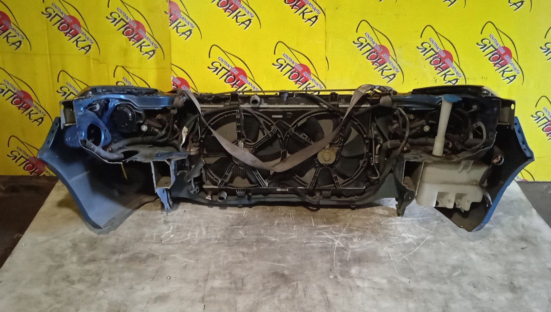 NOSECUT/NIS/WINGROAD/Y11/2 МОДЕЛЬ