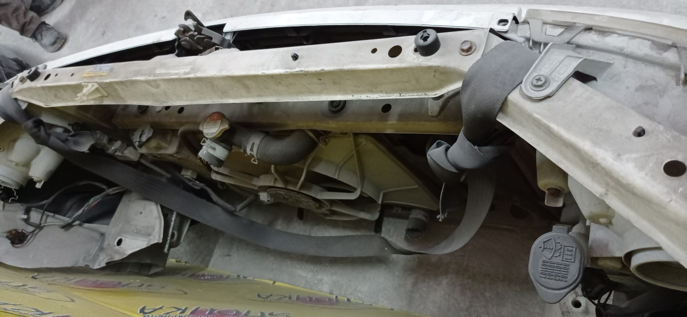 NOSECUT/TOY/BB/NCP30/NCP31/NCP34/NCP35/С ТУМАНКАМИ/ХРУСТАЛЬ/2 МОДЕЛЬ