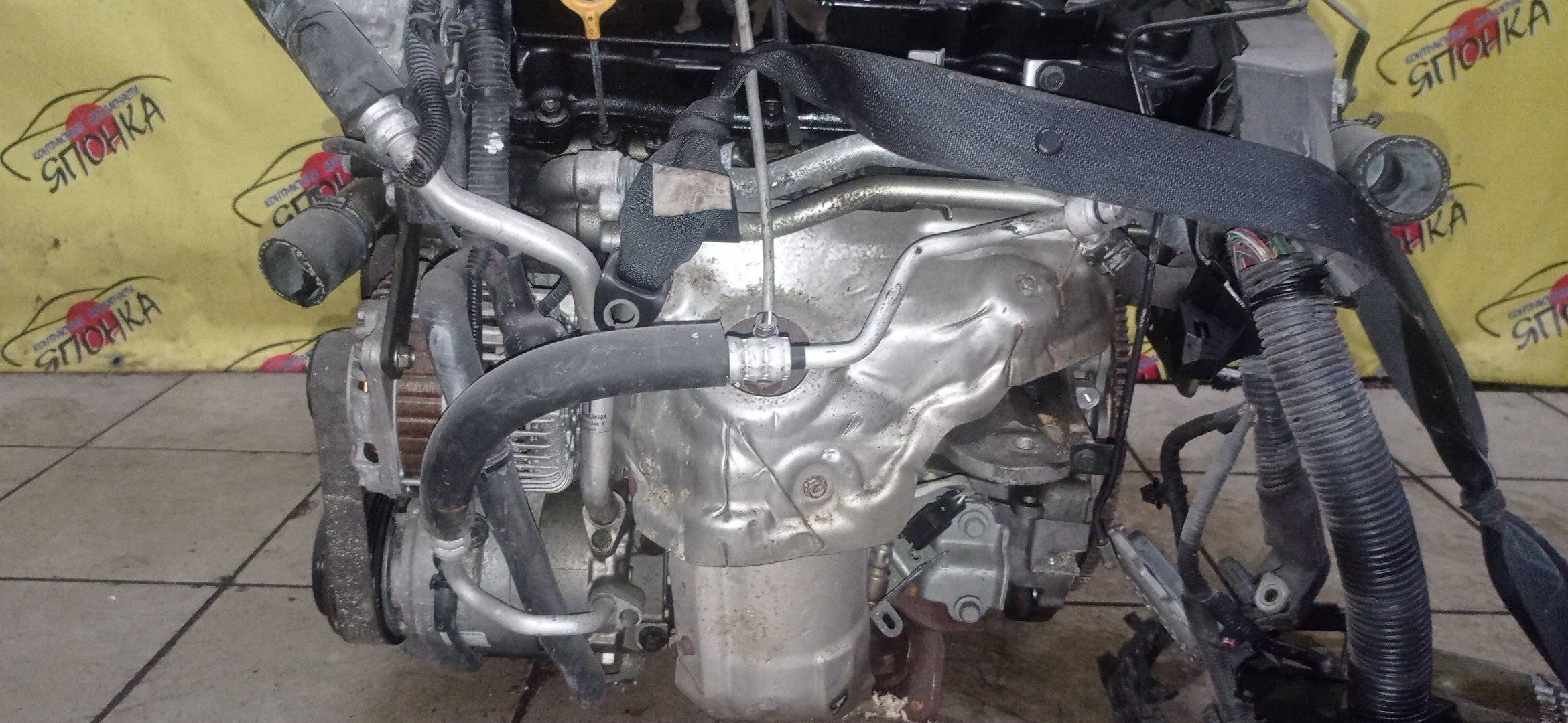 ДВС/NIS/VQ35-DE/ELGRAND/MURANO/TEANA/PE52/PJ32/PNE52/PNZ51/Z51/2WD/4WD/101021A5A2/101023WSAA/10102JP0A1/10102JP0A2/101021A5A1