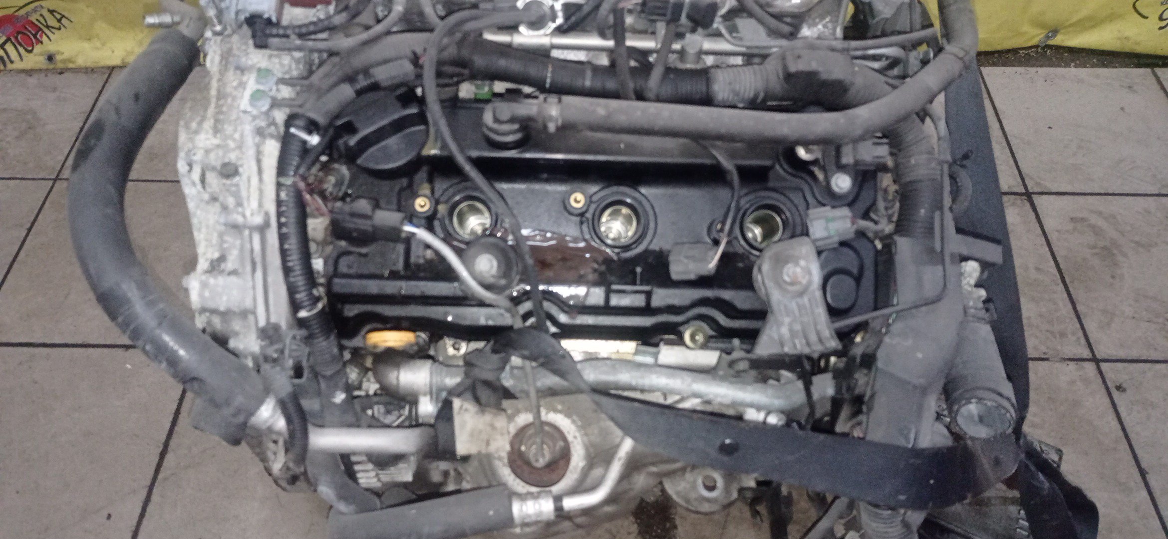 ДВС/NIS/VQ35-DE/ELGRAND/MURANO/TEANA/PE52/PJ32/PNE52/PNZ51/Z51/2WD/4WD/101021A5A2/101023WSAA/10102JP0A1/10102JP0A2/101021A5A1