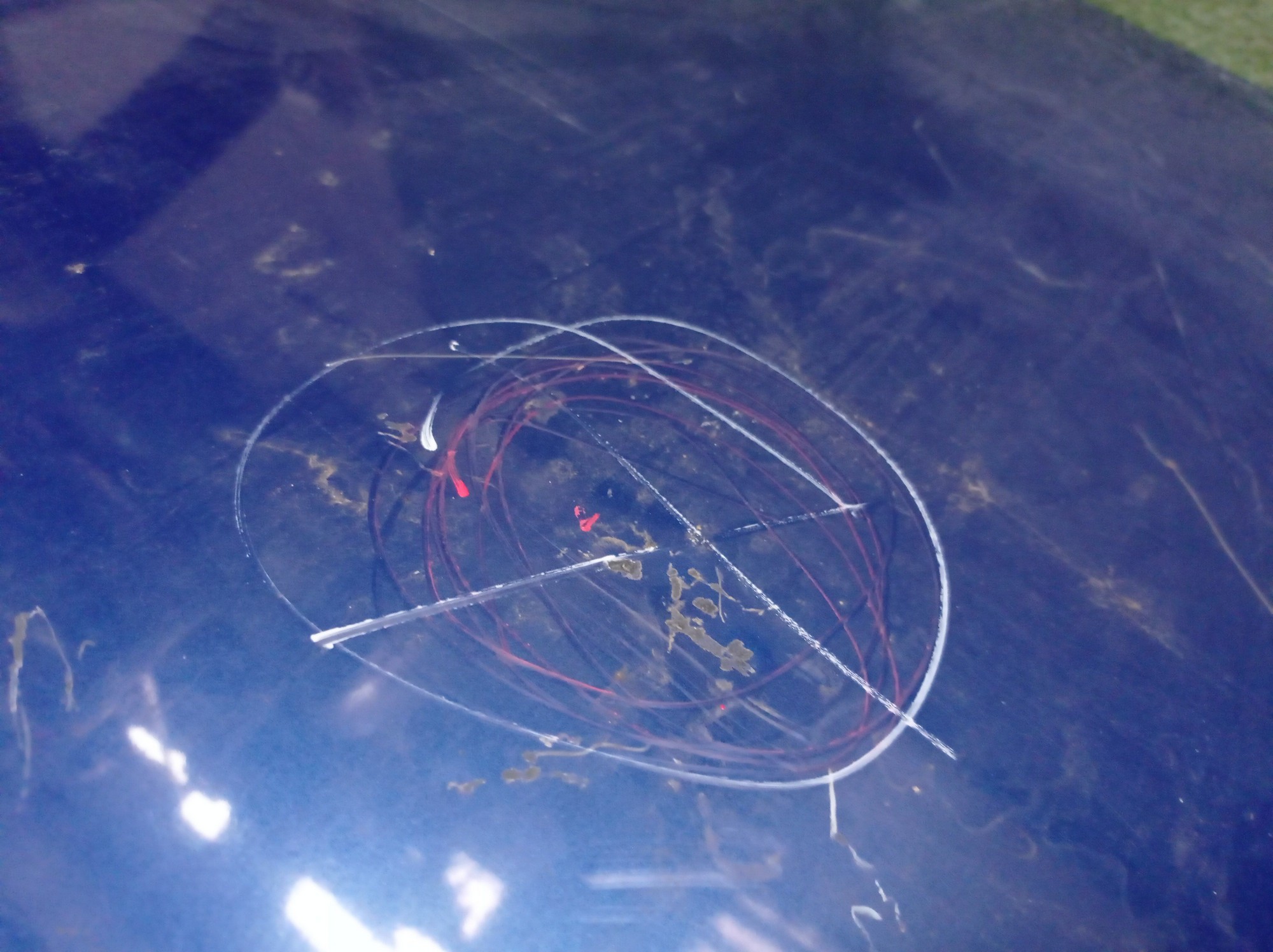 КАПОТ/NIS/CUBE/Z10/AZ10/ANZ10