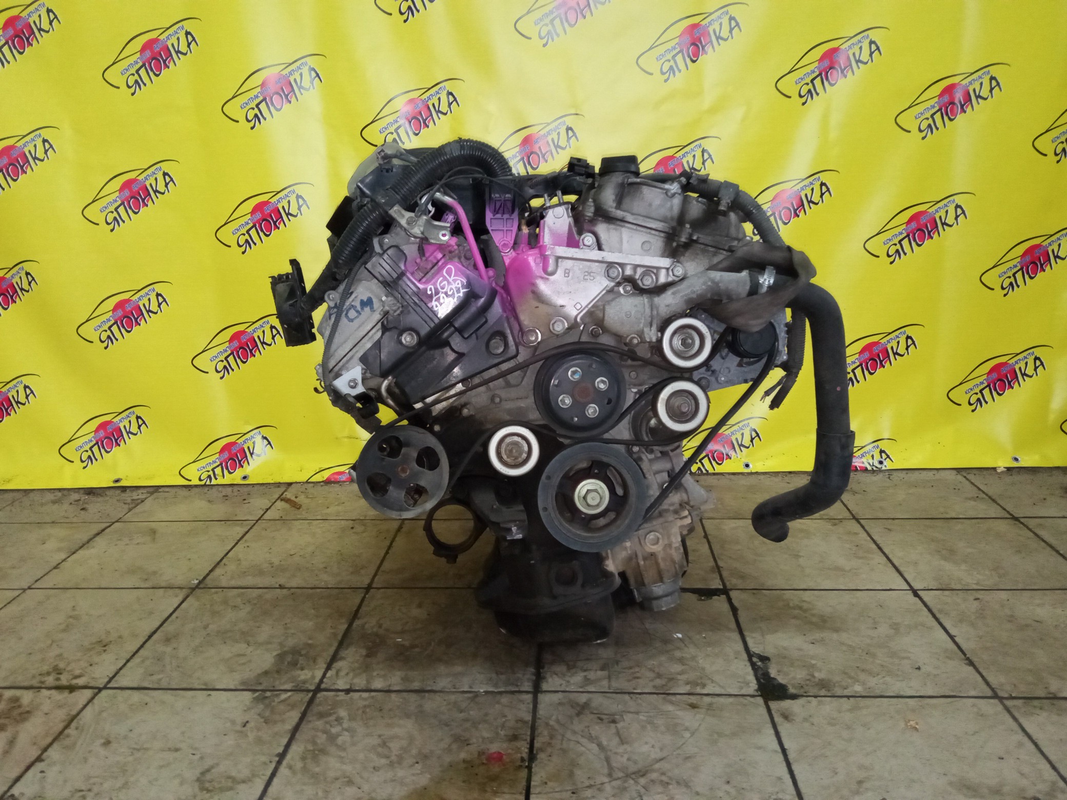 ДВС/TOY/2GR-FE/LEXUS/ALPHARD/AVALON/BLADE/CAMRY/ESTIMA/HARRIER/HIGHLANDER/MARK X ZIO/RX350/SIENNA/VELLFIRE/VENZA/GGA10/GGH20W/GGH25W/GGH30W/GGH35W/GGV10/GGV15/GRE156H/GSL20/GSL25/GSL30/GSL35/GSR50W/GSR55W/GSU30/GSU30W/GSU31W/GSU35/GSU35W/GSU36W/GSU40/GSU45/GSU50/GSU55/GSV40/GSV50/GSX30/GSX40/1900031D90/1900031D10/1900031A00