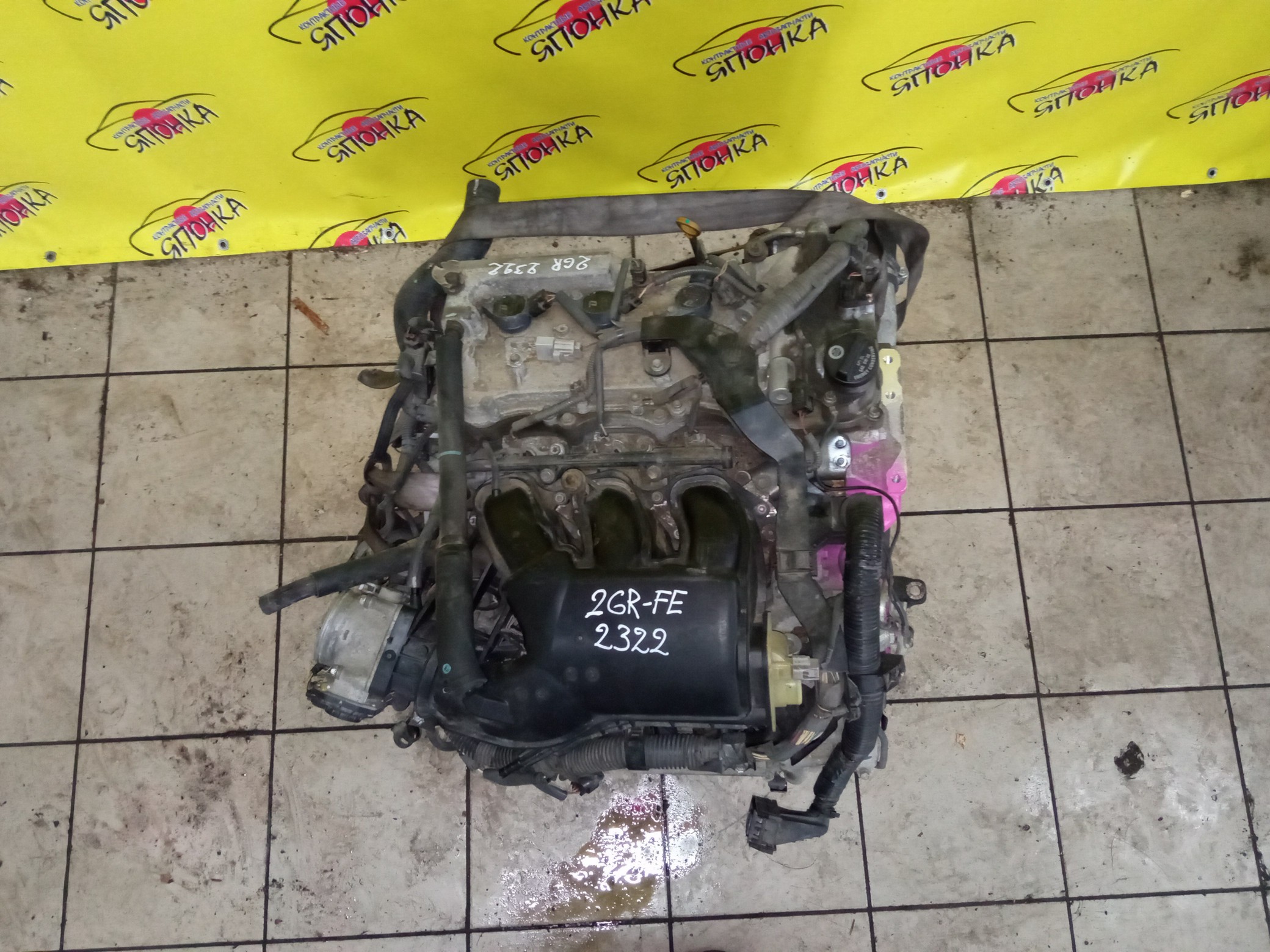 ДВС/TOY/2GR-FE/LEXUS/ALPHARD/AVALON/BLADE/CAMRY/ESTIMA/HARRIER/HIGHLANDER/MARK X ZIO/RX350/SIENNA/VELLFIRE/VENZA/GGA10/GGH20W/GGH25W/GGH30W/GGH35W/GGV10/GGV15/GRE156H/GSL20/GSL25/GSL30/GSL35/GSR50W/GSR55W/GSU30/GSU30W/GSU31W/GSU35/GSU35W/GSU36W/GSU40/GSU45/GSU50/GSU55/GSV40/GSV50/GSX30/GSX40/1900031D90/1900031D10/1900031A00