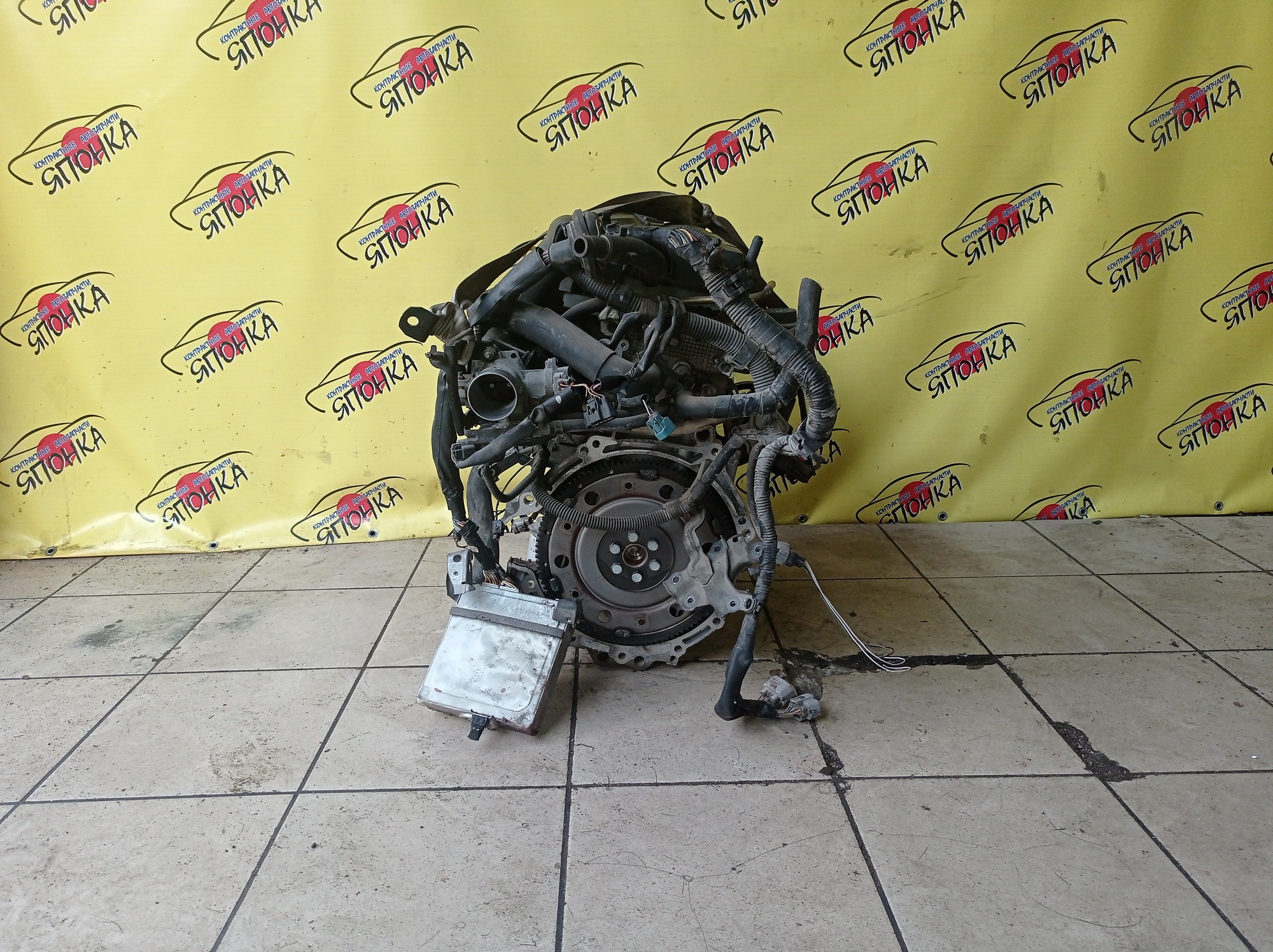 ДВС/TOY/1NZ-FE/ALLEX/ALLION/BB/COROLLA/FIELDER/RUNX/SPACIO/FUNCARGO/IST/PLATZ/PORTE/PREMIO/PROBOX/RAUM/SUCCEED/VITZ/WILL CYPHA/WILL VS/NCP12/NCP13/NCP21/NCP25/NCP31/NCP34/NCP35/NCP51V/NCP55V/NCP58G/NCP59G/NCP61/NCP65/NCP75/NCZ20/NCZ25/NNP10/NZE121/NZE121G/NZE121N/NZE124/NZE124G/NZE127/NZT240/МЕХ. ДРОСЕЛЬ