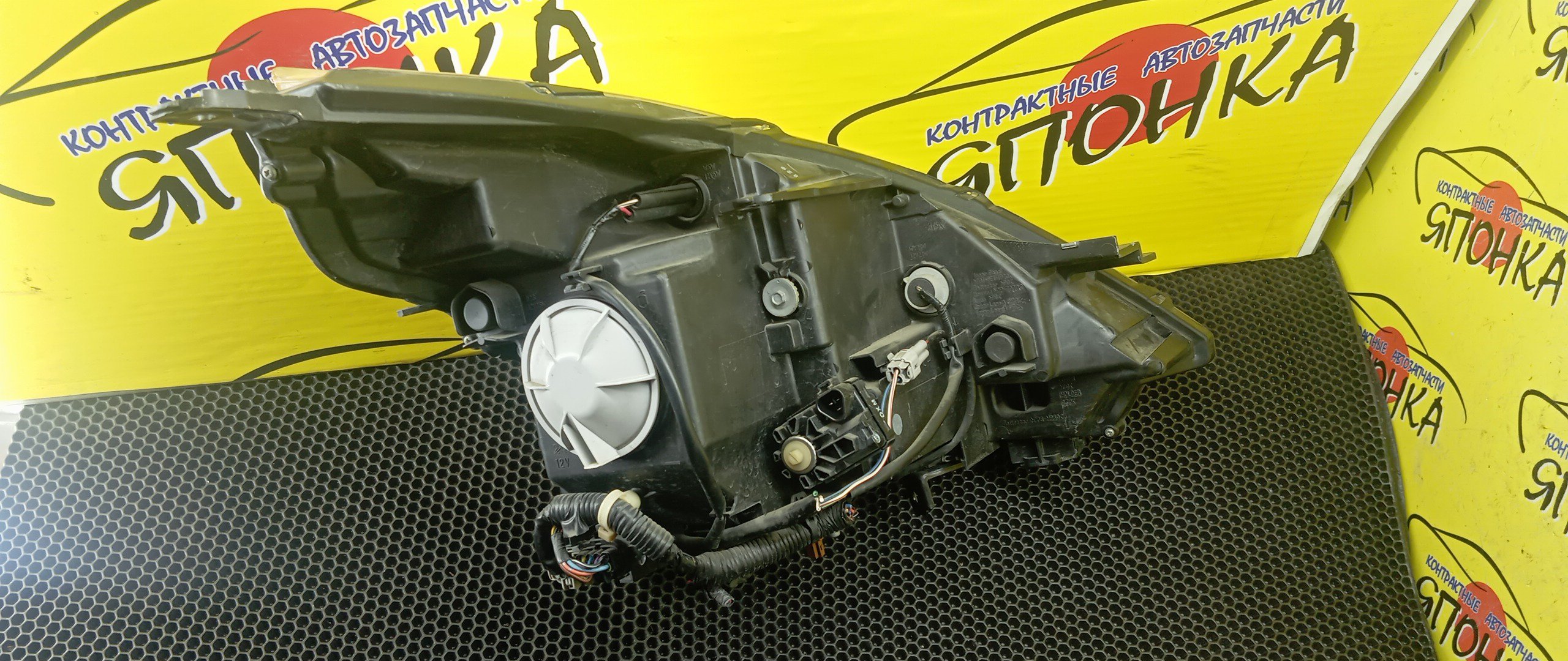 ФАРА/NIS/TEANA/J32/PJ32/TNJ32/10063023/XENON/L