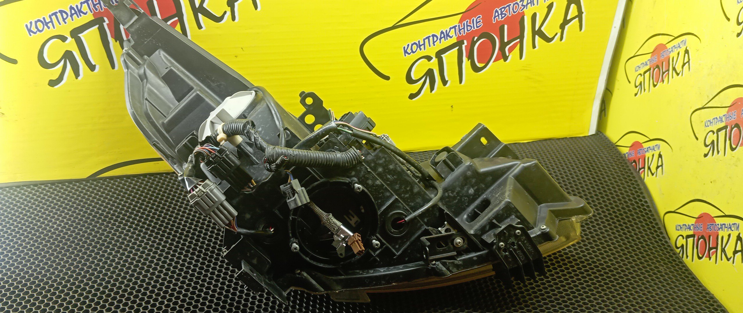 ФАРА/NIS/TEANA/J32/PJ32/TNJ32/10063023/XENON/L