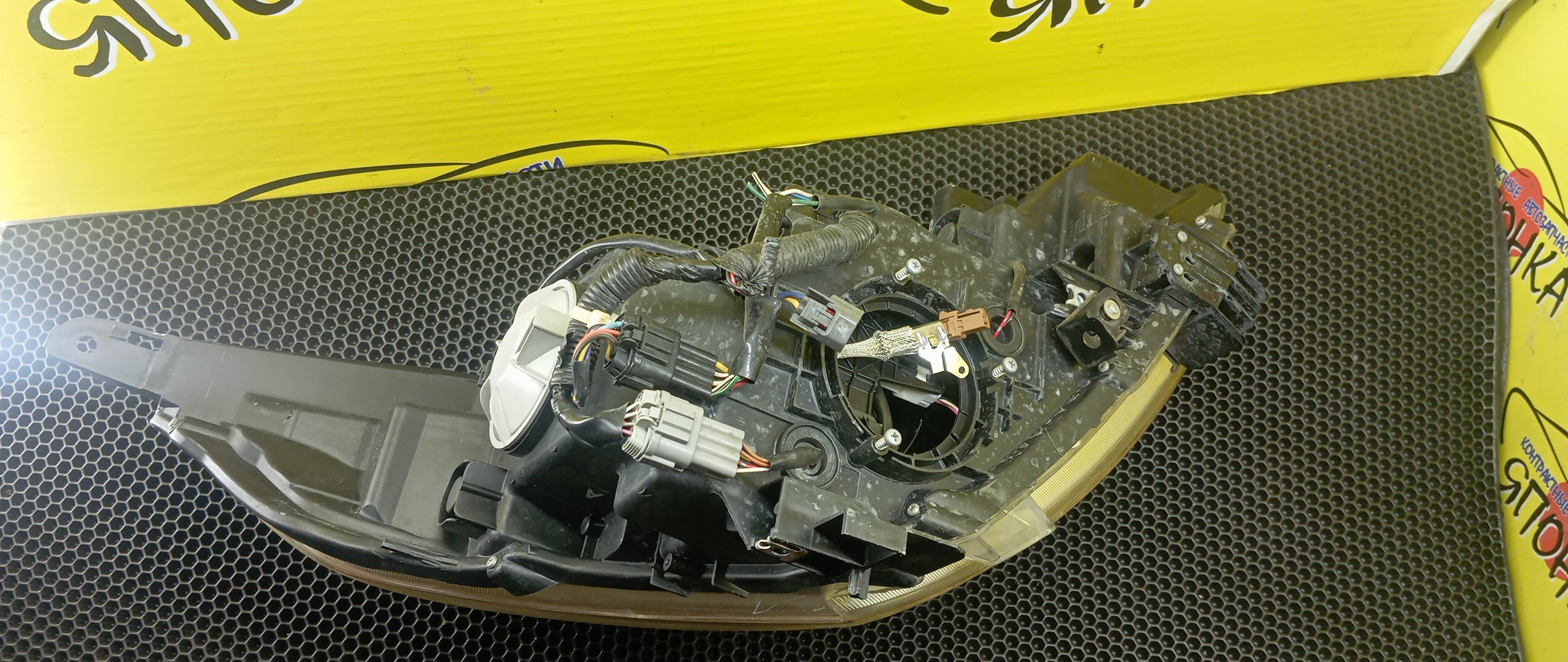 ФАРА/NIS/TEANA/J32/PJ32/TNJ32/10063023/XENON/L