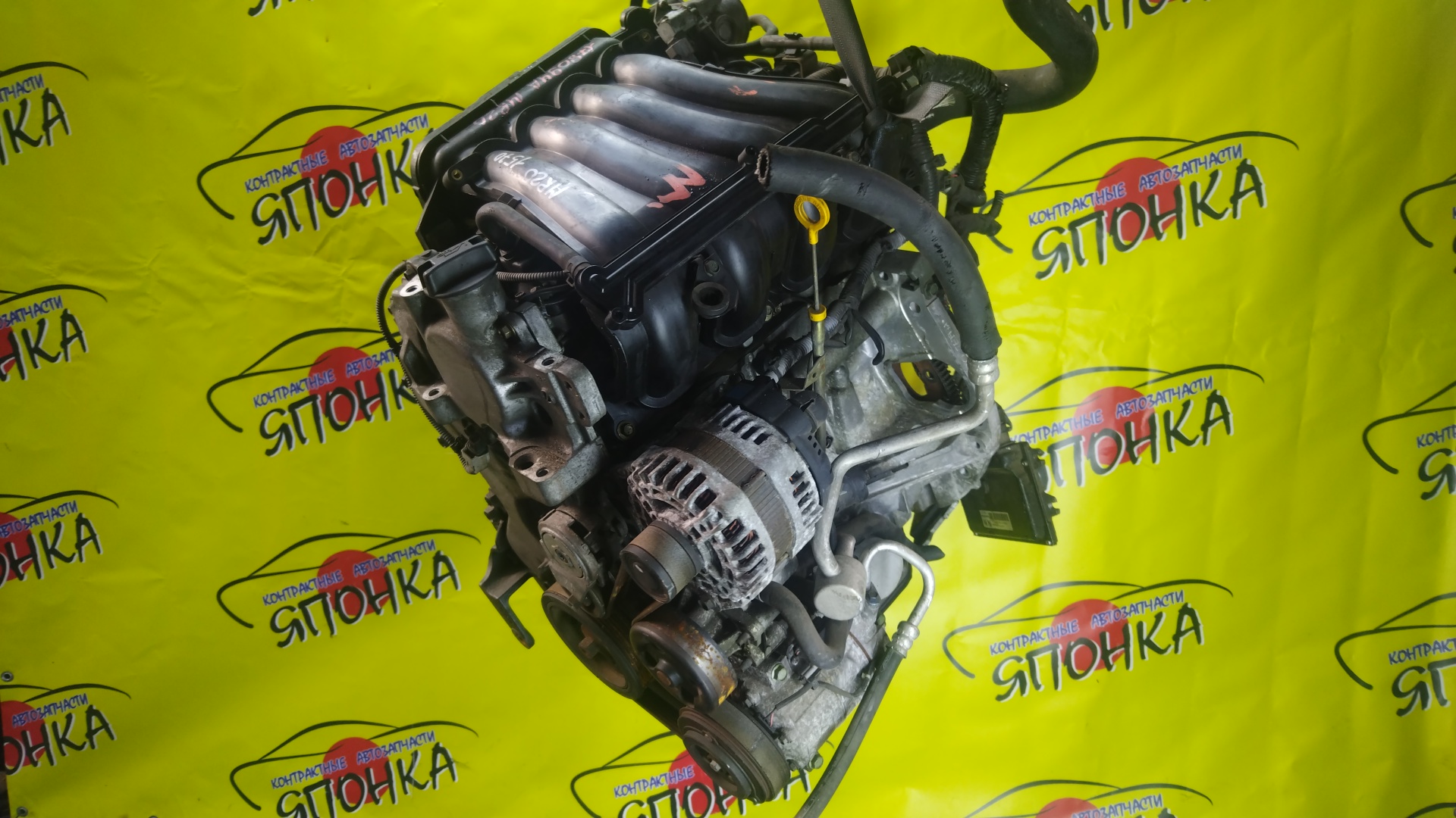 ДВС/NIS/MR20DE/SUZUKI/BLUEBIRD SYLPHY/DUALIS/LAFESTA/LANDY/QASHQAI2/SERENA/X-TRAIL/B30/C25/CC25/J10/J10E/JJ10E/KG11/KJ10/SC25/T31/NT31/2WD/10102EW0A0/10102EN0AB/10102EN0RB/10102EN1R0/101021GKAA
