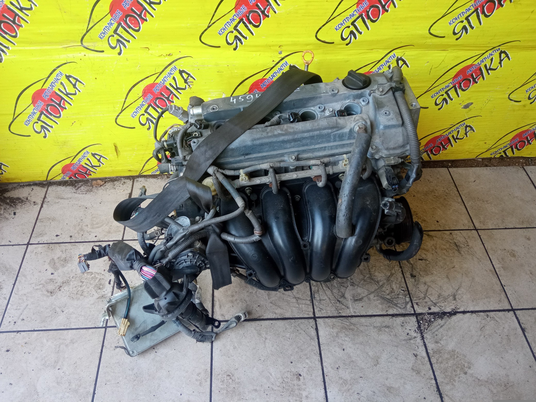 ДВС/TOY/2AZ-FE/2AZ/DAIHATSU/ALPHARD/ALTIS/BLADE/CAMRY/ESTIMA/HARRIER/HIGHLANDER/KLUGER V/MARK X ZIO/RAV4/SOLARA/PREVIA/VELLFIRE/IPSUM/ACA20/ACA20W/ACA21/ACA21W/ACA23/ACA26/ACA28/ACA31W/ACA33/ACA36W/ACA38/ACR30W/ACR40W/ACR50W/ACR55W/ACU10W/ACU15W/ACU20/ACU20W/ACU25W/ACU30W/ACU35W/ACV30/ACV30N/ACV35/ACV35N/ACV45/ACV40N/ACV40/ACV45N/ANA10/ANA15/ANH10W/ANH15W/ANH20W/ANH25W/AZE154H/AZE156H/ACA31/ACM21W/ACM26W/ЭЛЕКТРО ДРОСЕЛЬ/1900028350/1900028120/1900028D10/190000H330