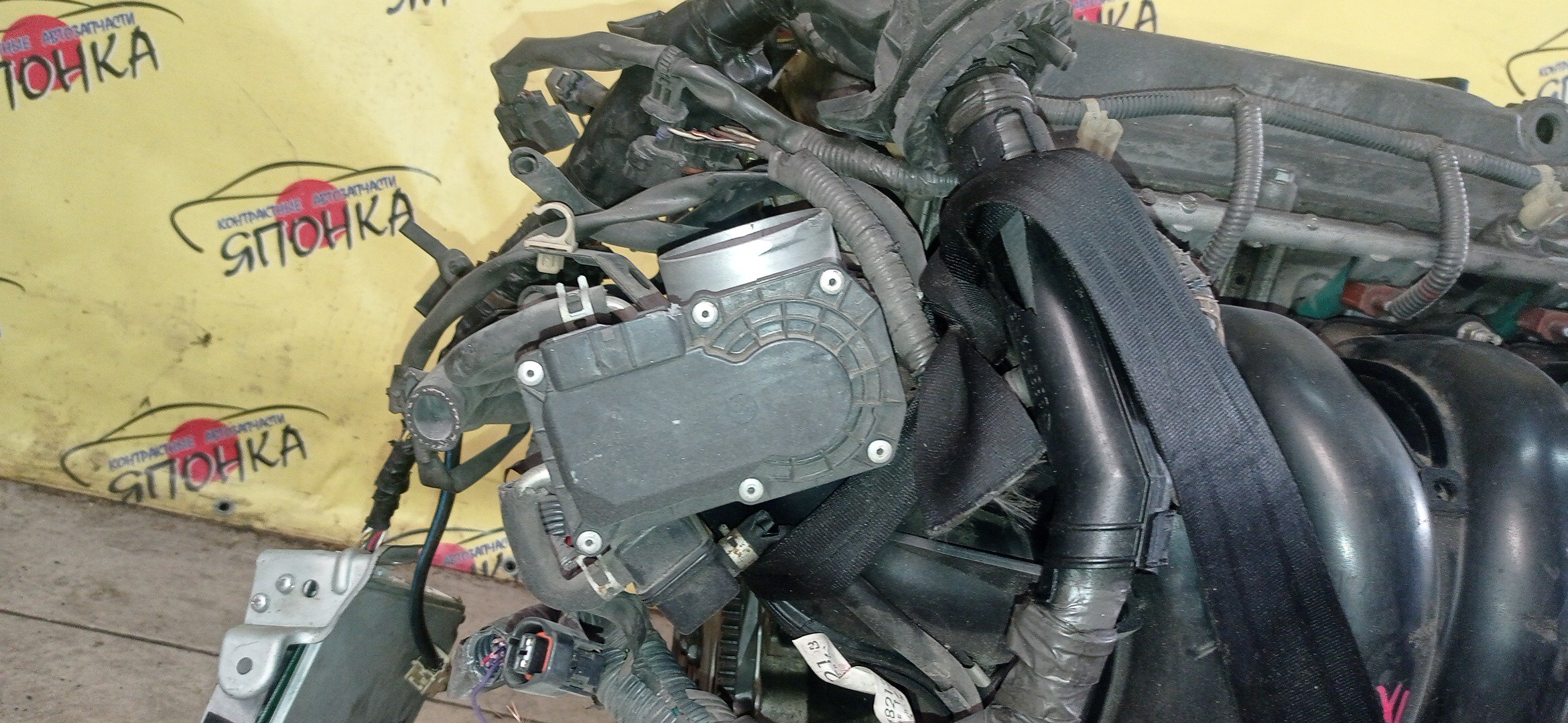 ДВС/TOY/2AZ-FE/2AZ/DAIHATSU/ALPHARD/ALTIS/BLADE/CAMRY/ESTIMA/HARRIER/HIGHLANDER/KLUGER V/MARK X ZIO/RAV4/SOLARA/PREVIA/VELLFIRE/IPSUM/ACA20/ACA20W/ACA21/ACA21W/ACA23/ACA26/ACA28/ACA31W/ACA33/ACA36W/ACA38/ACR30W/ACR40W/ACR50W/ACR55W/ACU10W/ACU15W/ACU20/ACU20W/ACU25W/ACU30W/ACU35W/ACV30/ACV30N/ACV35/ACV35N/ACV45/ACV40N/ACV40/ACV45N/ANA10/ANA15/ANH10W/ANH15W/ANH20W/ANH25W/AZE154H/AZE156H/ACA31/ACM21W/ACM26W/ЭЛЕКТРО ДРОСЕЛЬ/1900028350/1900028120/1900028D10/190000H330