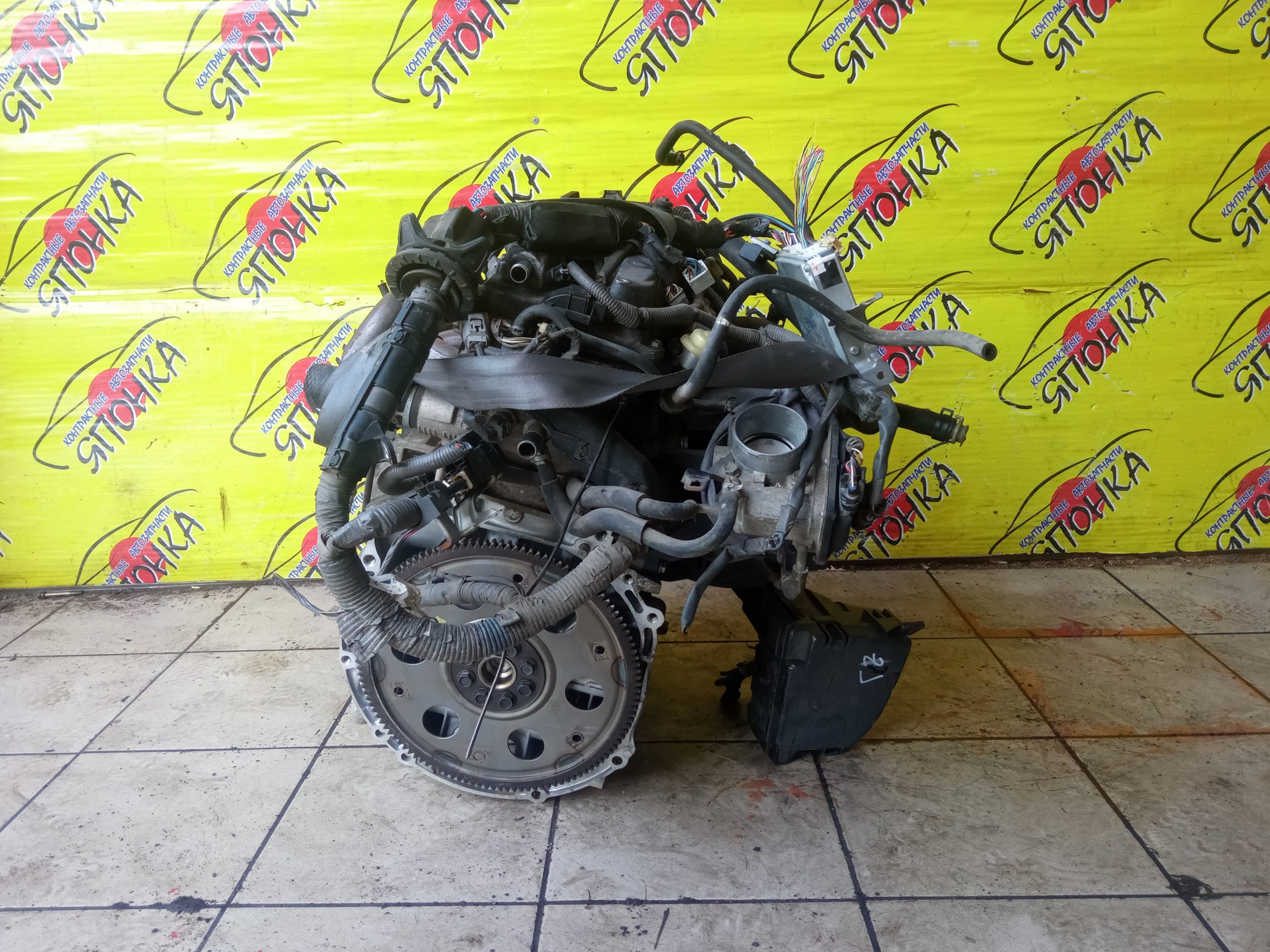 ДВС/TOY/2AZ-FE/2AZ/DAIHATSU/ALPHARD/ALTIS/BLADE/CAMRY/ESTIMA/HARRIER/HIGHLANDER/KLUGER V/MARK X ZIO/RAV4/SOLARA/PREVIA/VELLFIRE/IPSUM/ACA20/ACA20W/ACA21/ACA21W/ACA23/ACA26/ACA28/ACA31W/ACA33/ACA36W/ACA38/ACR30W/ACR40W/ACR50W/ACR55W/ACU10W/ACU15W/ACU20/ACU20W/ACU25W/ACU30W/ACU35W/ACV30/ACV30N/ACV35/ACV35N/ACV45/ACV40N/ACV40/ACV45N/ANA10/ANA15/ANH10W/ANH15W/ANH20W/ANH25W/AZE154H/AZE156H/ACA31/ACM21W/ACM26W/ЭЛЕКТРО ДРОСЕЛЬ/1900028350/1900028120/1900028D10/190000H330