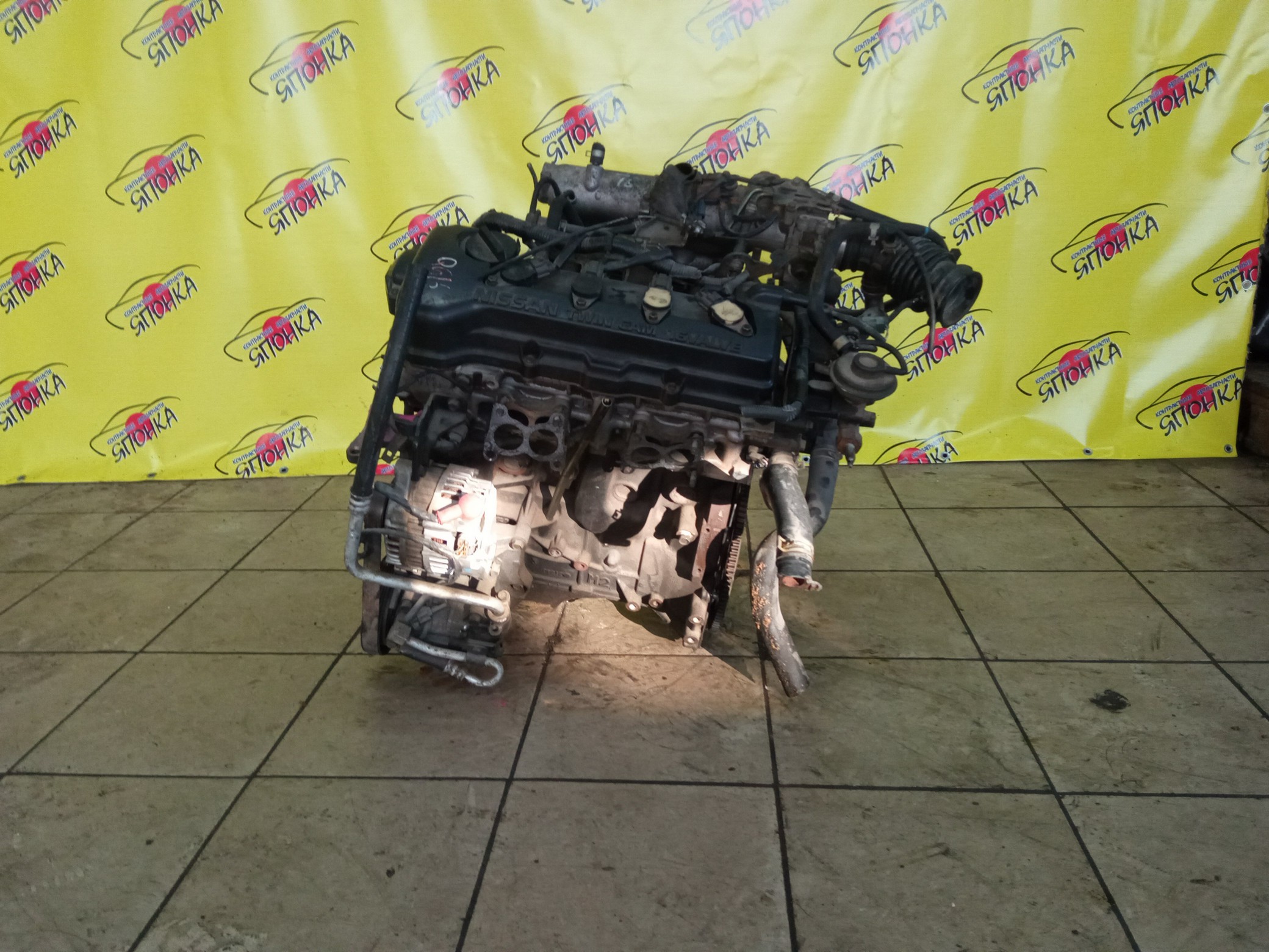 ДВС/NIS/QG16DE/AD/ALMERA/AVENIR/BLUEBIRD/BLUEBIRD SYLPHY/EXPERT/FAMILIA VAN/PRIMERA/PRIMERA CAMINO/TINO/WINGROAD/BVGY11/BVHNY11/N16/P12E/QG10/QNG10/QP12/V10/VGY11/VHNY11/VNW11/VW11/WFNY11/WHNY11/WHY11/BLACKHEAD/1010295F0B