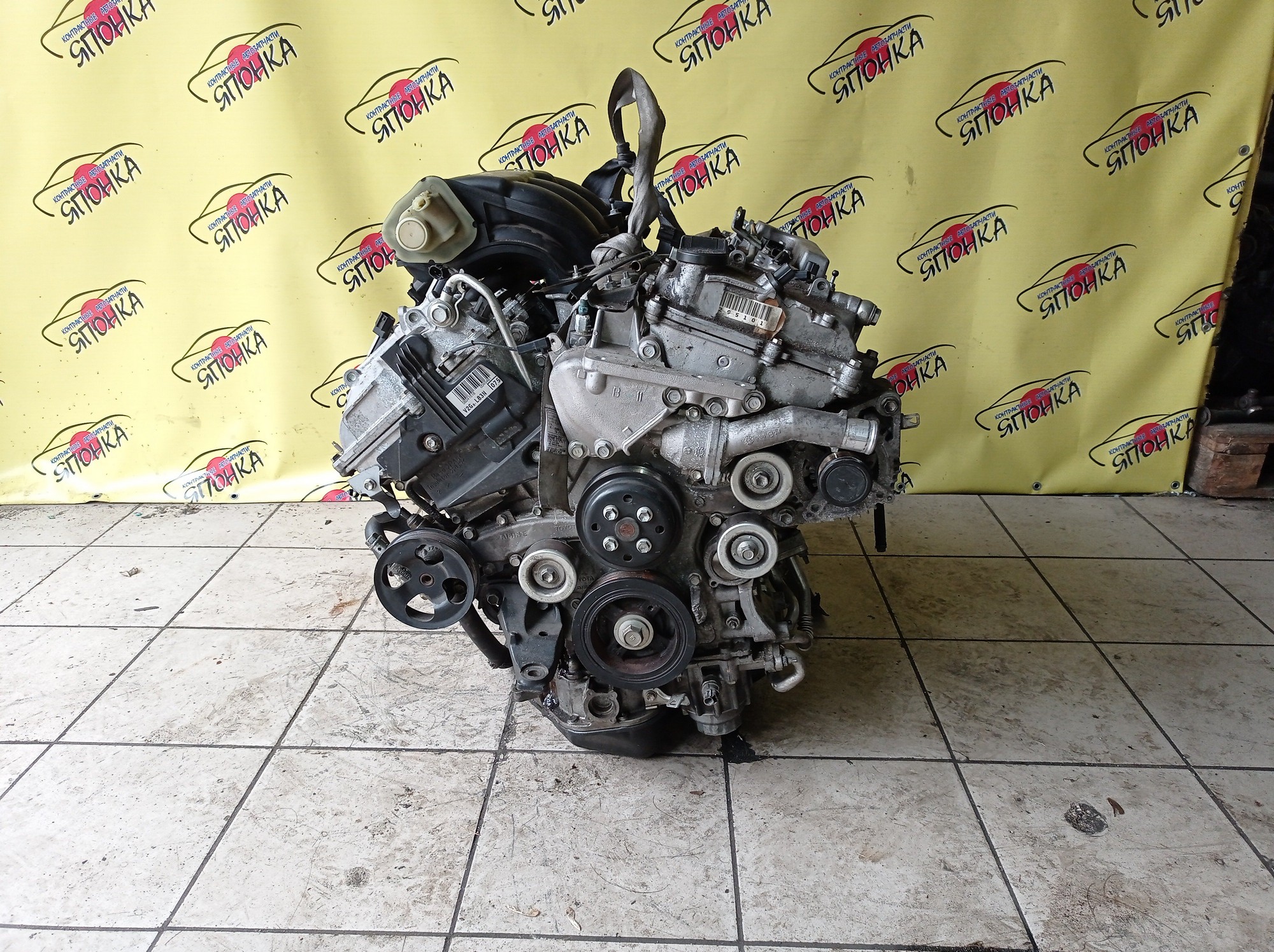 ДВС/TOY/2GR-FE/LEXUS/ALPHARD/AVALON/BLADE/CAMRY/ESTIMA/HARRIER/HIGHLANDER/MARK X ZIO/RX350/SIENNA/VELLFIRE/VENZA/GGA10/GGH20W/GGH25W/GGH30W/GGH35W/GGV10/GGV15/GRE156H/GSL20/GSL25/GSL30/GSL35/GSR50W/GSR55W/GSU30/GSU30W/GSU31W/GSU35/GSU35W/GSU36W/GSU40/GSU45/GSU50/GSU55/GSV40/GSV50/GSX30/GSX40/1900031D90/1900031D10/1900031A00