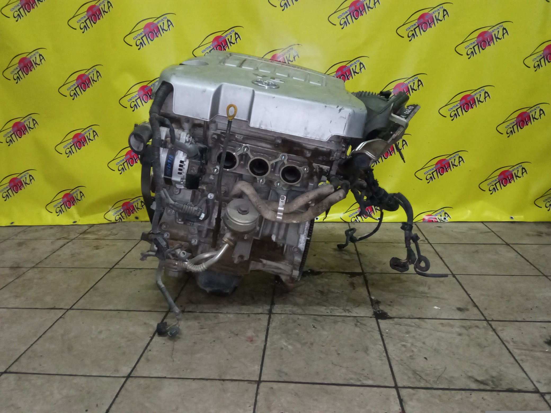 ДВС/TOY/2GR-FE/LEXUS/ALPHARD/AVALON/BLADE/CAMRY/ESTIMA/HARRIER/HIGHLANDER/MARK X ZIO/RX350/SIENNA/VELLFIRE/VENZA/GGA10/GGH20W/GGH25W/GGH30W/GGH35W/GGV10/GGV15/GRE156H/GSL20/GSL25/GSL30/GSL35/GSR50W/GSR55W/GSU30/GSU30W/GSU31W/GSU35/GSU35W/GSU36W/GSU40/GSU45/GSU50/GSU55/GSV40/GSV50/GSX30/GSX40/1900031D90/1900031D10/1900031A00