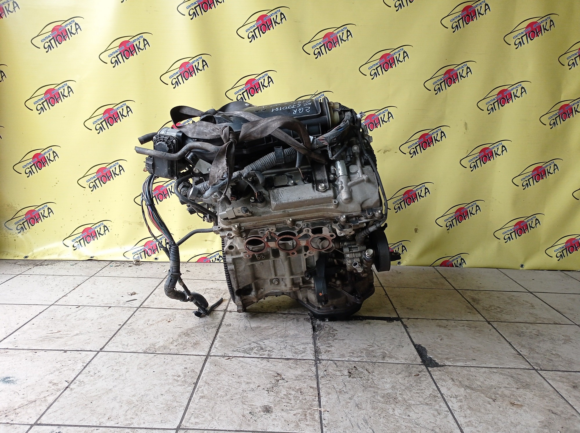 ДВС/TOY/2GR-FE/LEXUS/ALPHARD/AVALON/BLADE/CAMRY/ESTIMA/HARRIER/HIGHLANDER/MARK X ZIO/RX350/SIENNA/VELLFIRE/VENZA/GGA10/GGH20W/GGH25W/GGH30W/GGH35W/GGV10/GGV15/GRE156H/GSL20/GSL25/GSL30/GSL35/GSR50W/GSR55W/GSU30/GSU30W/GSU31W/GSU35/GSU35W/GSU36W/GSU40/GSU45/GSU50/GSU55/GSV40/GSV50/GSX30/GSX40/1900031D90/1900031D10/1900031A00