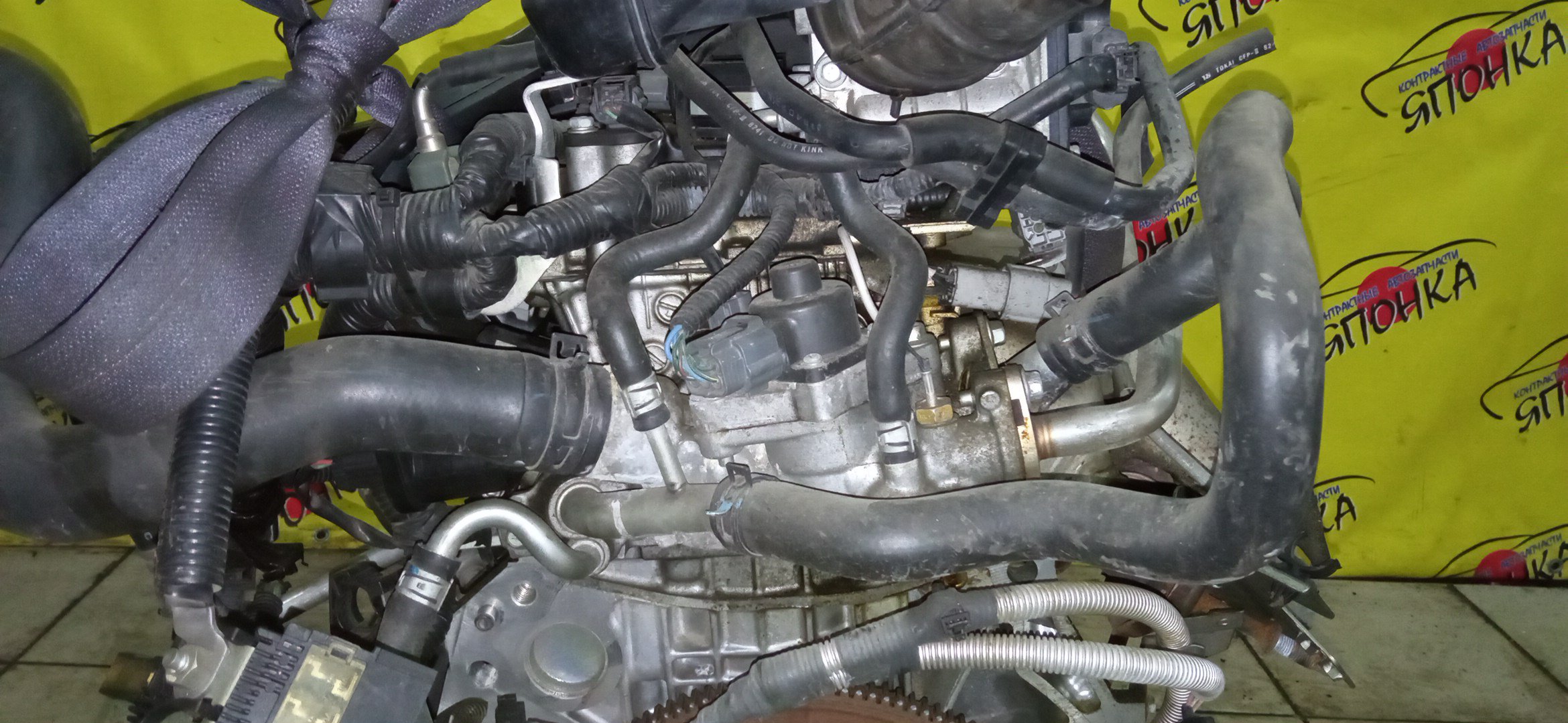 ДВС/NIS/MR20DE/SUZUKI/BLUEBIRD SYLPHY/DUALIS/LAFESTA/LANDY/QASHQAI2/SERENA/X-TRAIL/B30/C25/CC25/J10/J10E/JJ10E/KG11/KJ10/SC25/T31/NT31/2WD/10102EW0A0/10102EN0AB/10102EN0RB/10102EN1R0/101021GKAA