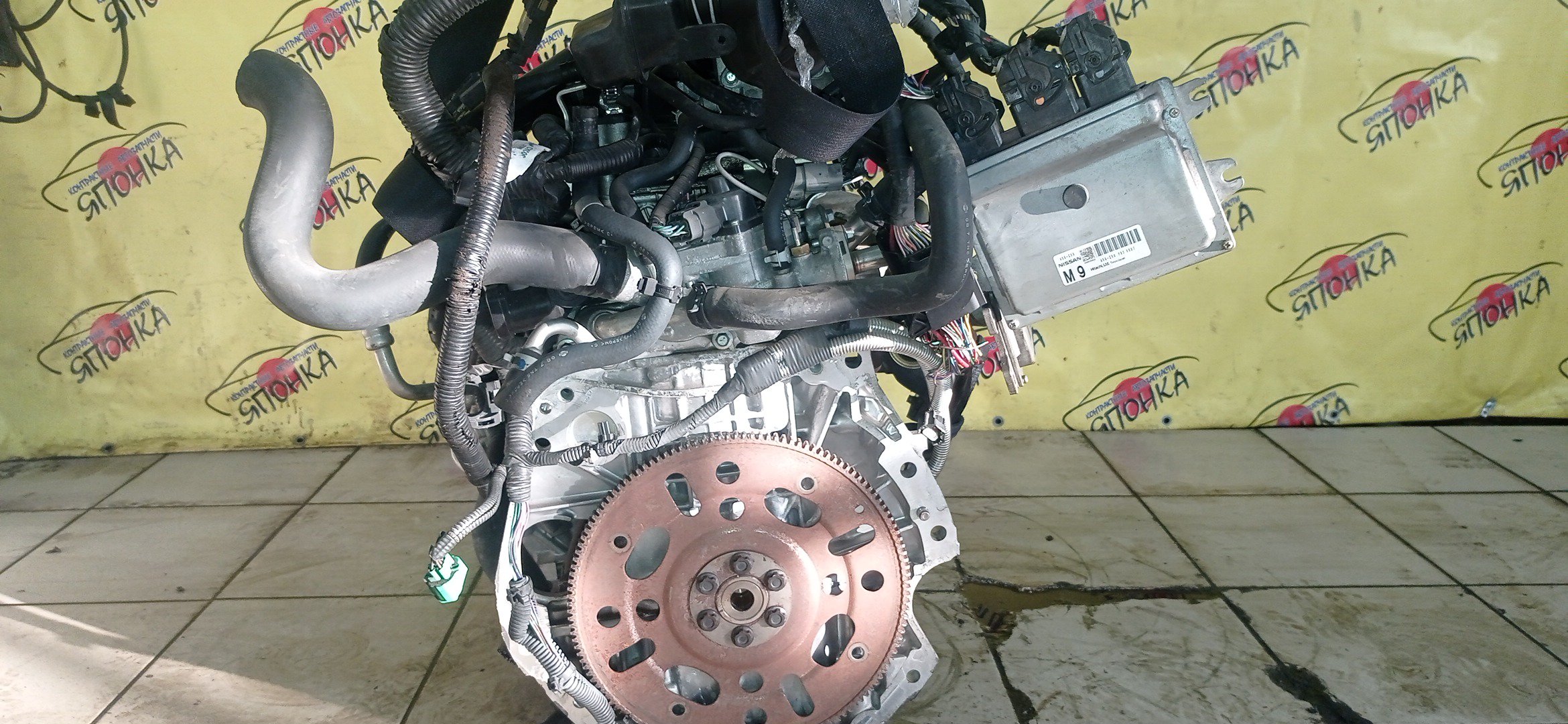 ДВС/NIS/MR20DE/SUZUKI/BLUEBIRD SYLPHY/DUALIS/LAFESTA/LANDY/QASHQAI2/SERENA/X-TRAIL/B30/C25/CC25/J10/J10E/JJ10E/KG11/KJ10/SC25/T31/NT31/2WD/10102EW0A0/10102EN0AB/10102EN0RB/10102EN1R0/101021GKAA