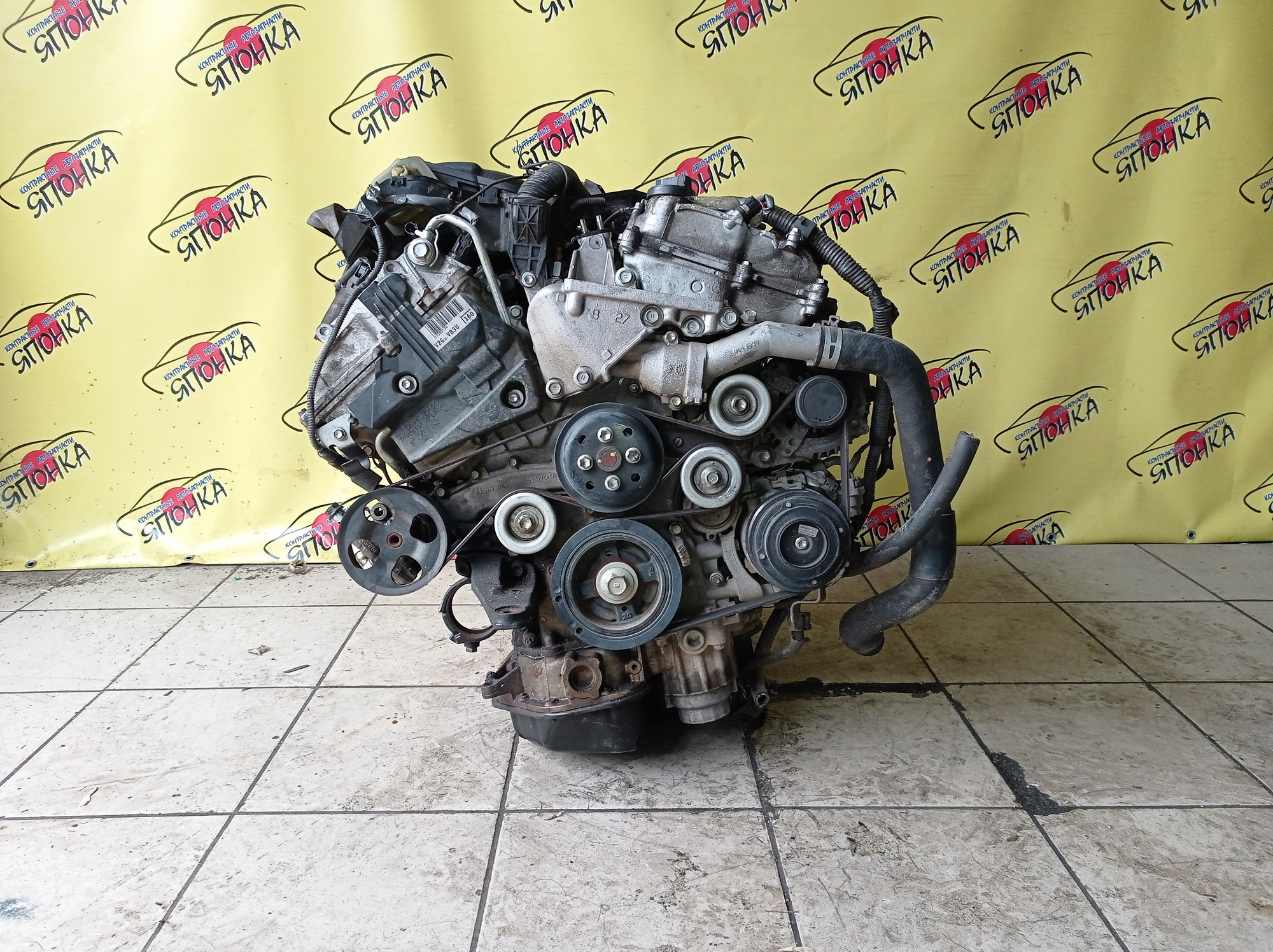ДВС/TOY/2GR-FE/LEXUS/ALPHARD/AVALON/BLADE/CAMRY/ESTIMA/HARRIER/HIGHLANDER/MARK X ZIO/RX350/SIENNA/VELLFIRE/VENZA/GGA10/GGH20W/GGH25W/GGH30W/GGH35W/GGV10/GGV15/GRE156H/GSL20/GSL25/GSL30/GSL35/GSR50W/GSR55W/GSU30/GSU30W/GSU31W/GSU35/GSU35W/GSU36W/GSU40/GSU45/GSU50/GSU55/GSV40/GSV50/GSX30/GSX40/1900031D90/1900031D10/1900031A00