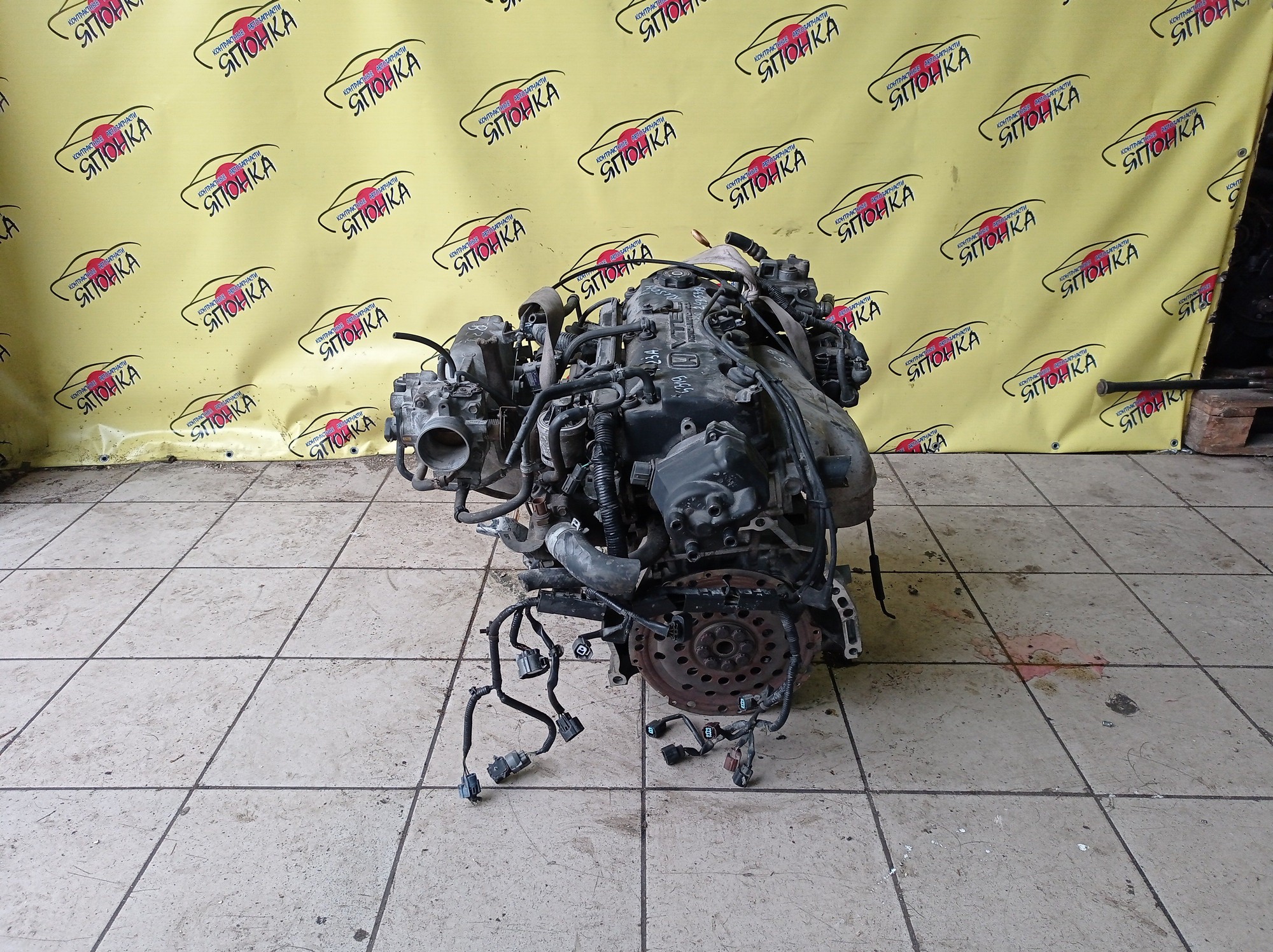 ДВС/HON/F23A/ACCORD WAGON/AVANCIER/ODYSSEY/CF6/CF7/RA3/RA4/RA6/RA7/TA1/TA2/SOHC/VTEC