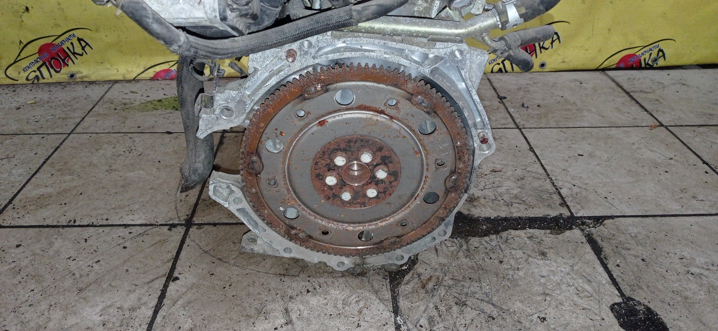 ДВС/TOY/1NZ-FE/COROLLA/VITZ/PREMIO/ALLION/IST/FIELDER/AXIO/PORTE/RACTIS/RUMION/NCP131/NCP100/NCP120/NCP105/NCP110/NCP115/NZE141G/NZE144/NZE144G/NZT260/NZE151N/NCP125/NZE141/NNP11/NNP15/NCP91/ЭЛЕКТРО ДРОСЕЛЬ/1 МОДЕЛЬ/1900021C41/1900021851