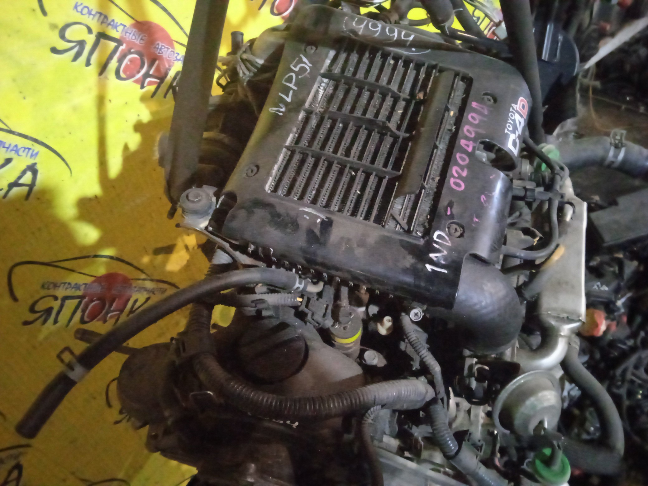 ДВС/TOY/1NDTV/SUCCEED/PROBOX/NLP51V/1900033050