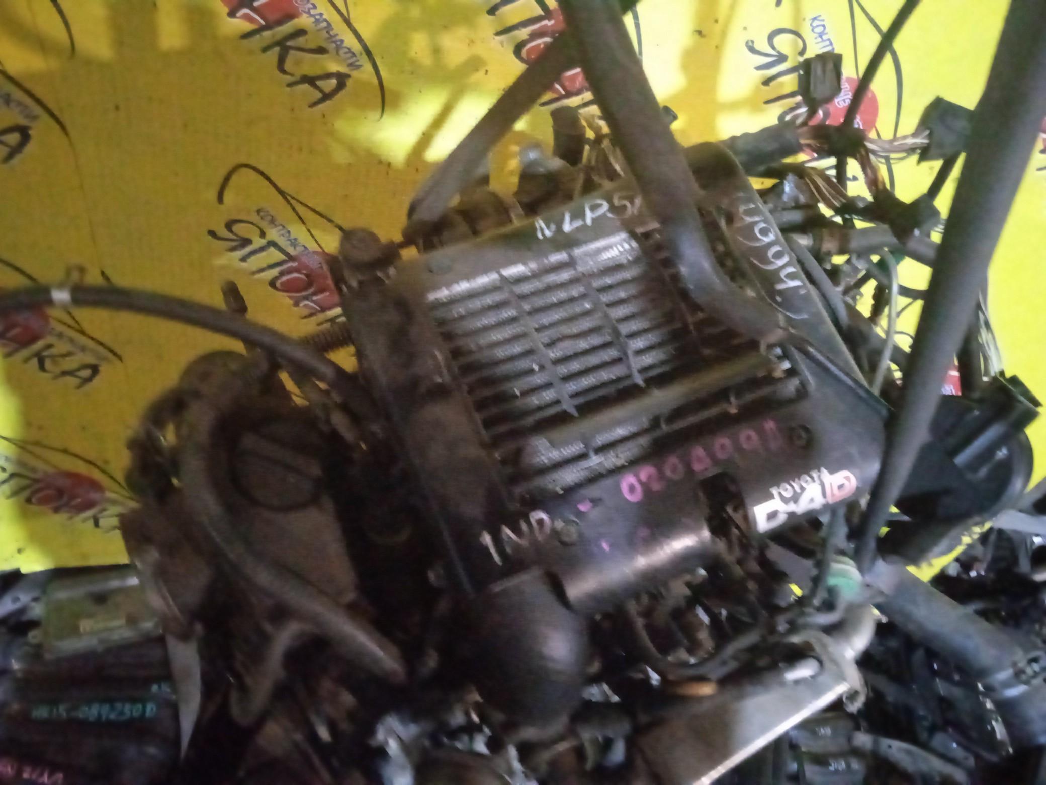 ДВС/TOY/1NDTV/SUCCEED/PROBOX/NLP51V/1900033050