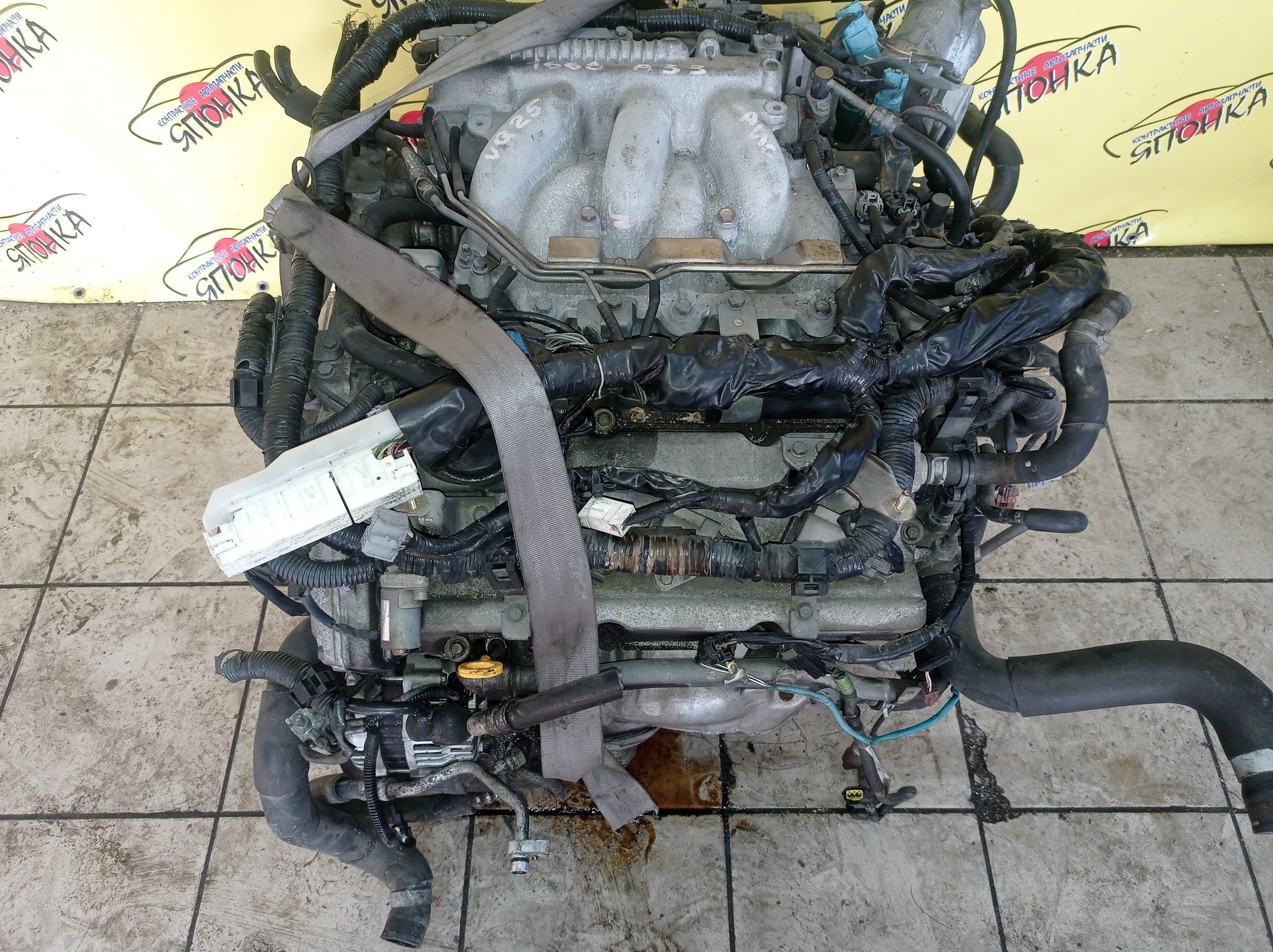 ДВС/NIS/VQ25-DD/CEFIRO/A33/ГОЛЫЙ/101022Y5A0