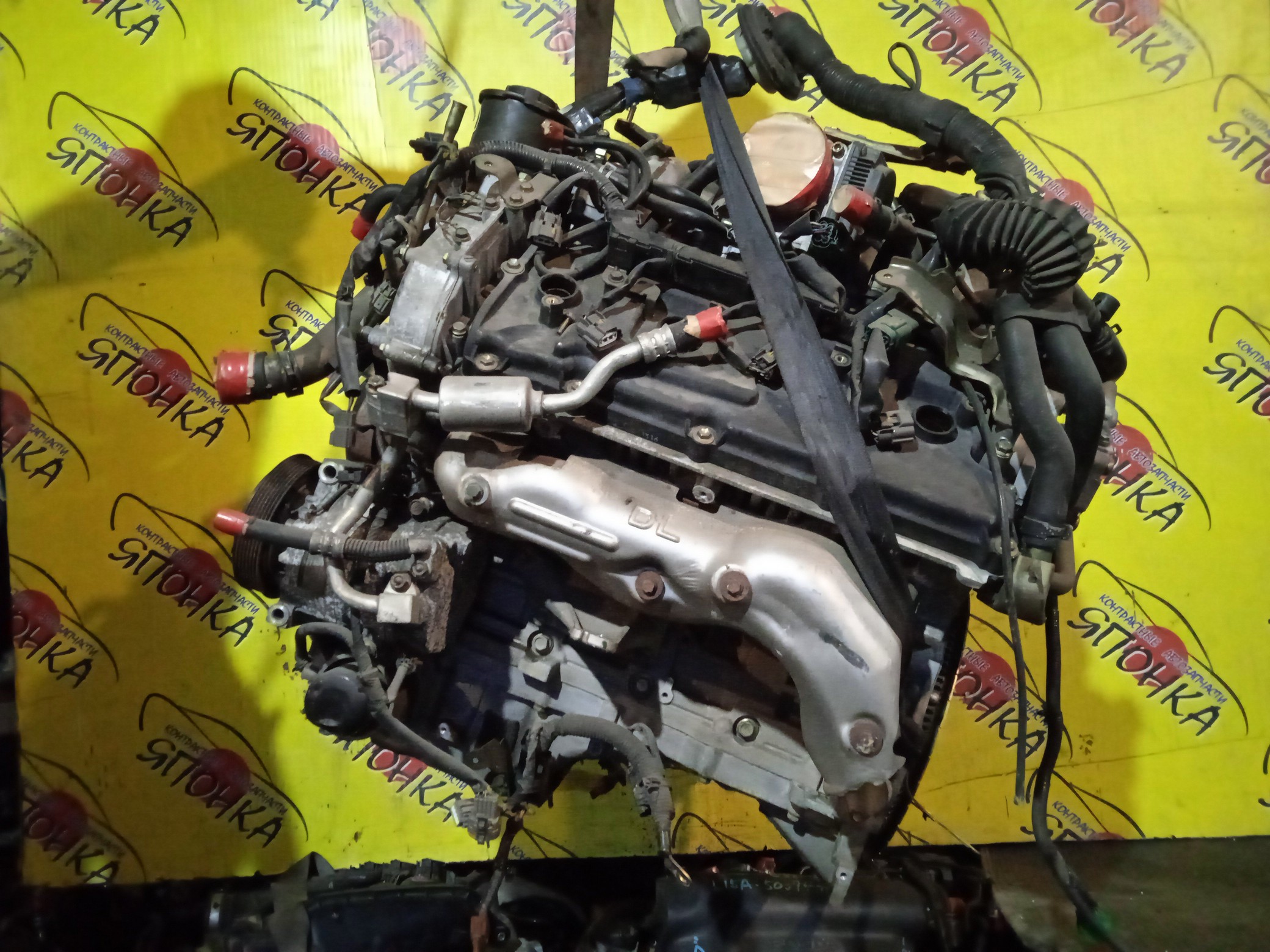 ДВС/NIS/VK45DD/CIMA/GF50/10102AR0A0