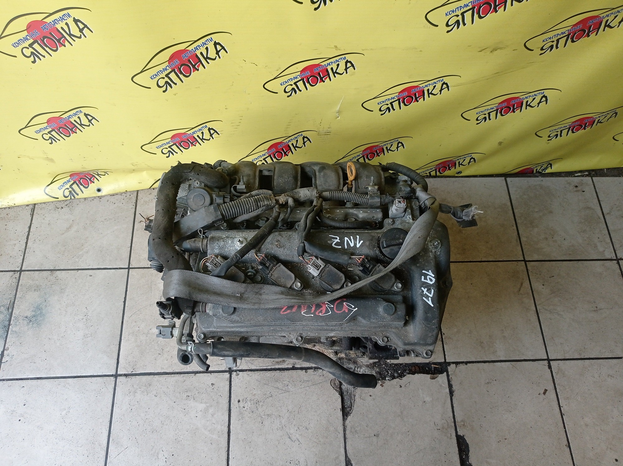 ДВС/TOY/1NZ-FE/COROLLA/VITZ/PREMIO/ALLION/IST/FIELDER/AXIO/PORTE/RACTIS/RUMION/NCP131/NCP100/NCP120/NCP105/NCP110/NCP115/NZE141G/NZE144/NZE144G/NZT260/NZE151N/NCP125/NZE141/NNP11/NNP15/NCP91/ЭЛЕКТРО ДРОСЕЛЬ/1 МОДЕЛЬ/1900021C41/1900021851