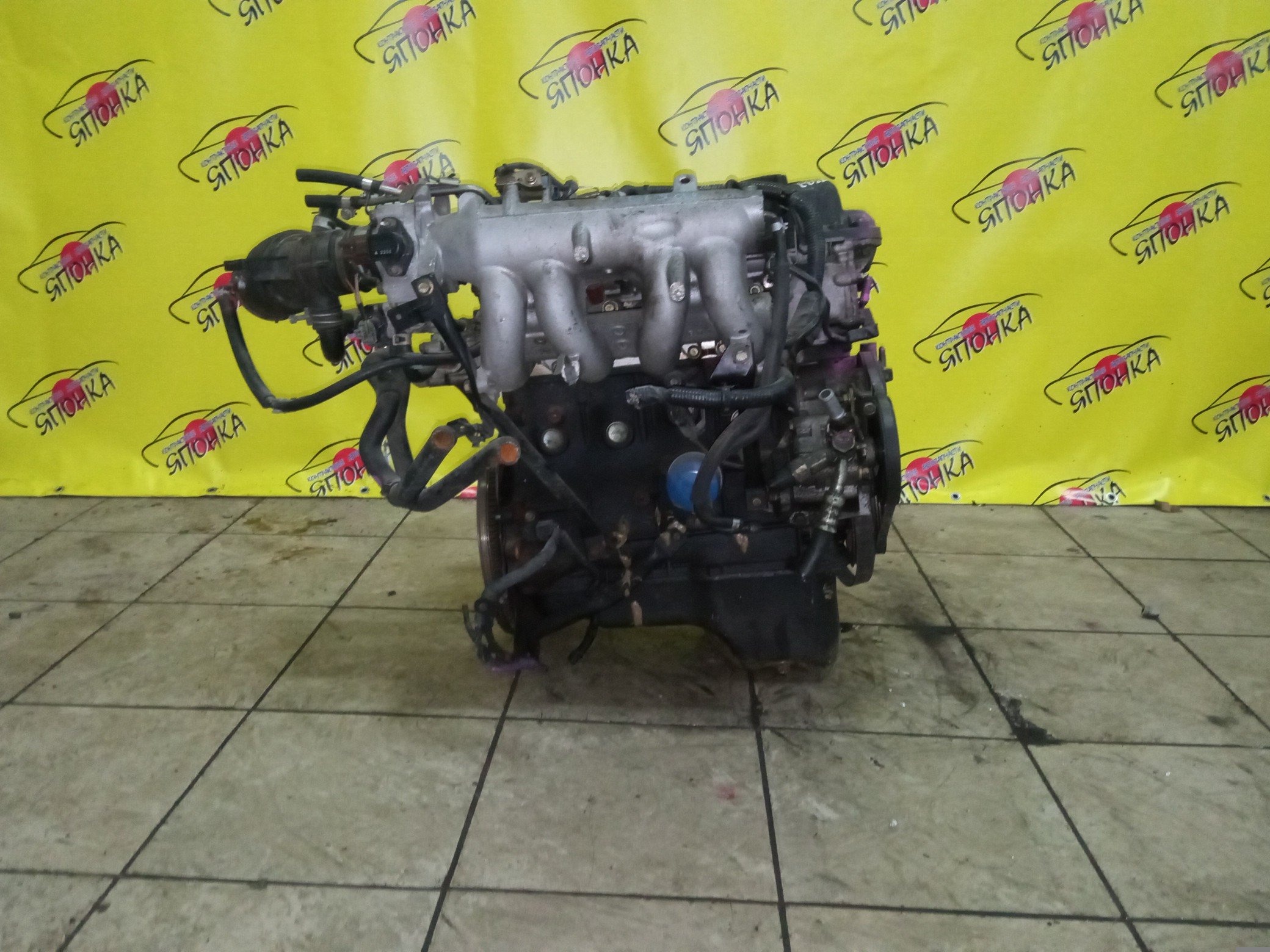 ДВС/NIS/QG16DE/AD/ALMERA/AVENIR/BLUEBIRD/BLUEBIRD SYLPHY/EXPERT/FAMILIA VAN/PRIMERA/PRIMERA CAMINO/TINO/WINGROAD/BVGY11/BVHNY11/N16/P12E/QG10/QNG10/QP12/V10/VGY11/VHNY11/VNW11/VW11/WFNY11/WHNY11/WHY11/BLACKHEAD/1010295F0B