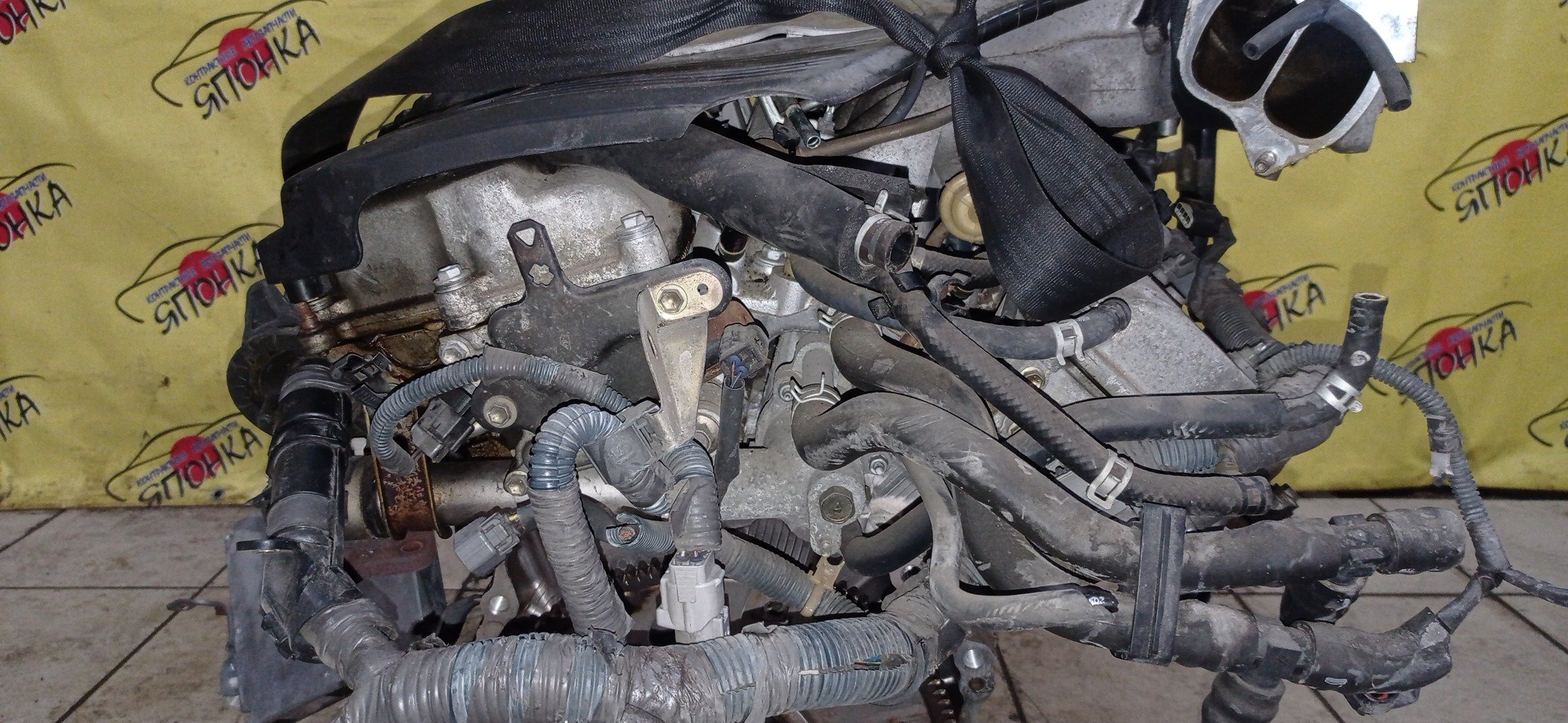 ДВС/TOY/1MZ-FE VVTI/LEXUS ALPHARD/ESTIMA/HARRIER/HIGHLANDER/KLUGER V/RX300/MCR40W/MCU25/MCU25W/MCU35W/MCU36W/MNH15W/MCU15/MCU15W/4WD/1900020270