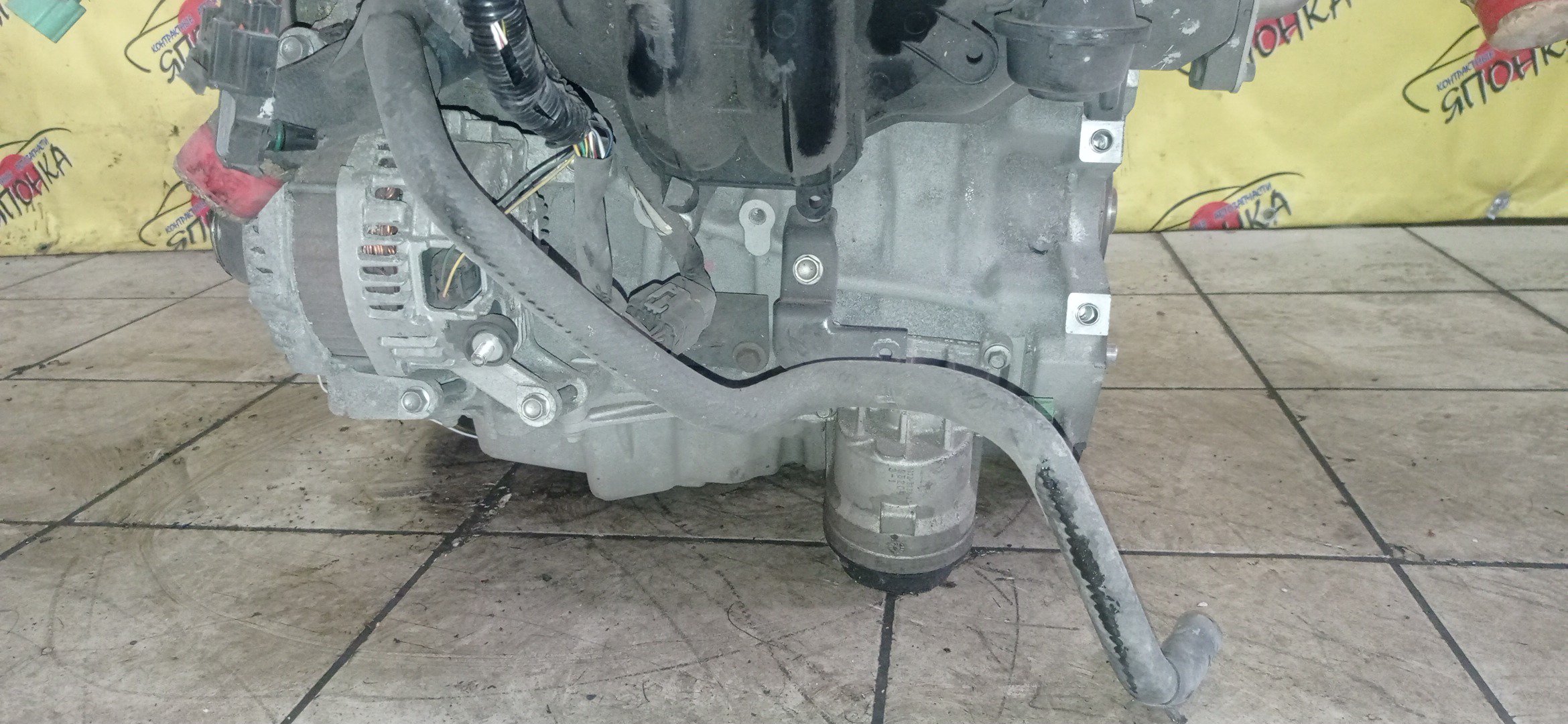 ДВС/MAZ/LF-VE/ATENZA/ATENZA WAGON/AXELA/MAZDA6/PREMACY/BKEP/BLEAP/BLEAW/CREW/GGEP/GHEFP/GHEFS/GHEFW/КАТУШКИ СВЕРХУ/ДАТЧИКА VVTI/ЩУП ЧЕРЕЗ ГОЛОВУ/КОМПРЕССОР НА ПОДДОНЕ