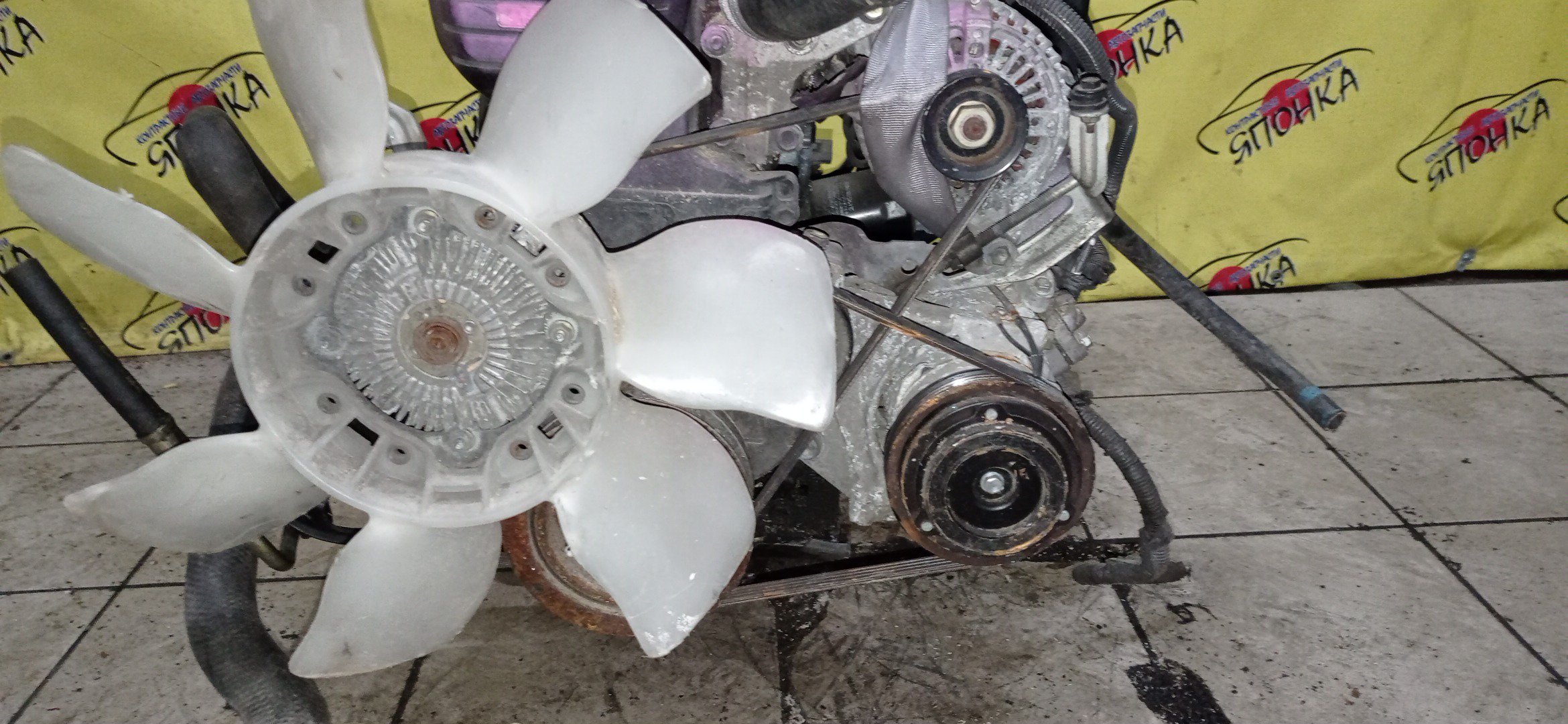 ДВС/TOY/1G-FE BEAMS/ALTEZZA/ALTEZZA GITA/CHASER/CRESTA/CROWN/IS200/LEXUS/MARK II/MARK II BLIT/VEROSSA/GX105/GX115/GX115W/GXE15W/4WD/1900070320