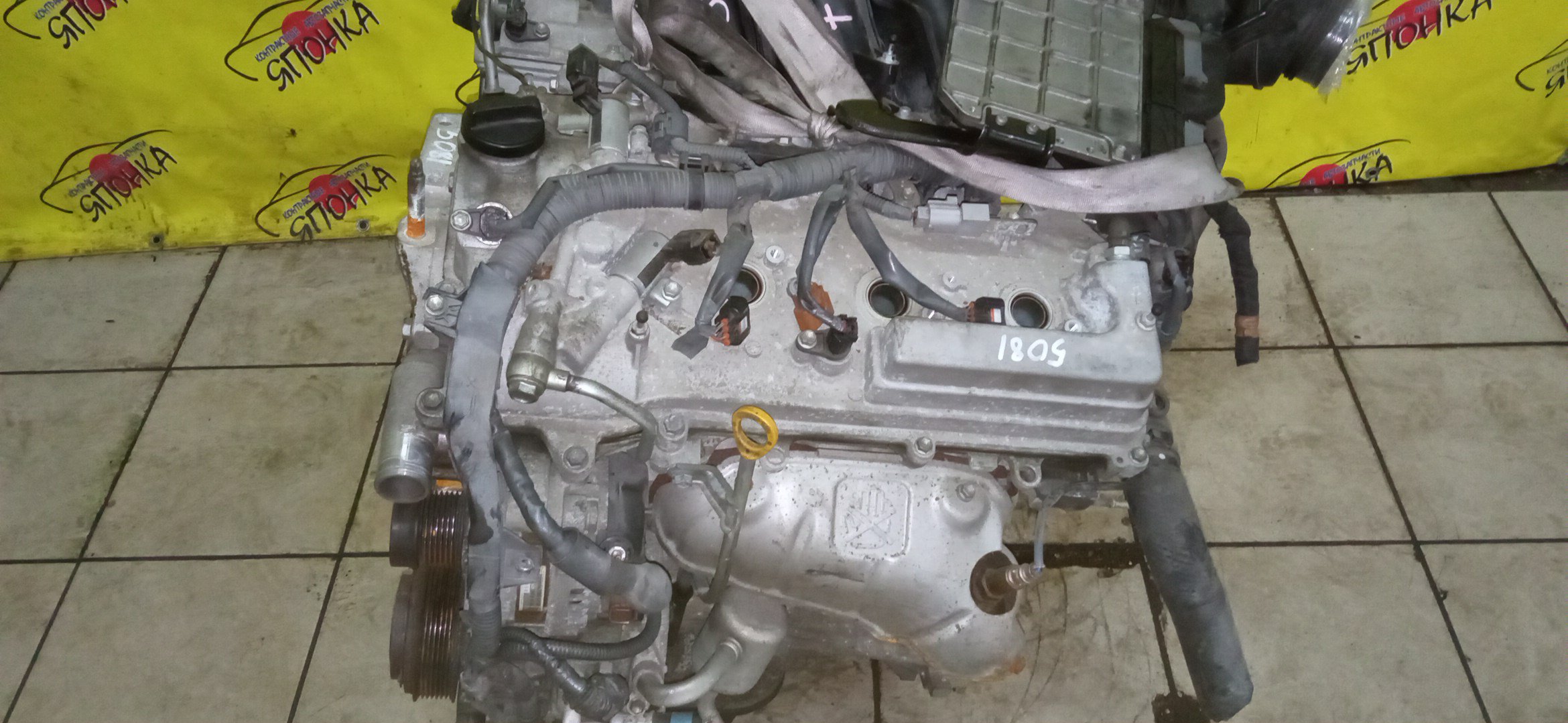 ДВС/TOY/2GR-FE/LEXUS/ALPHARD/AVALON/BLADE/CAMRY/ESTIMA/HARRIER/HIGHLANDER/MARK X ZIO/RX350/SIENNA/VELLFIRE/VENZA/GGA10/GGH20W/GGH25W/GGH30W/GGH35W/GGV10/GGV15/GRE156H/GSL20/GSL25/GSL30/GSL35/GSR50W/GSR55W/GSU30/GSU30W/GSU31W/GSU35/GSU35W/GSU36W/GSU40/GSU45/GSU50/GSU55/GSV40/GSV50/GSX30/GSX40/1900031D90/1900031D10/1900031A00