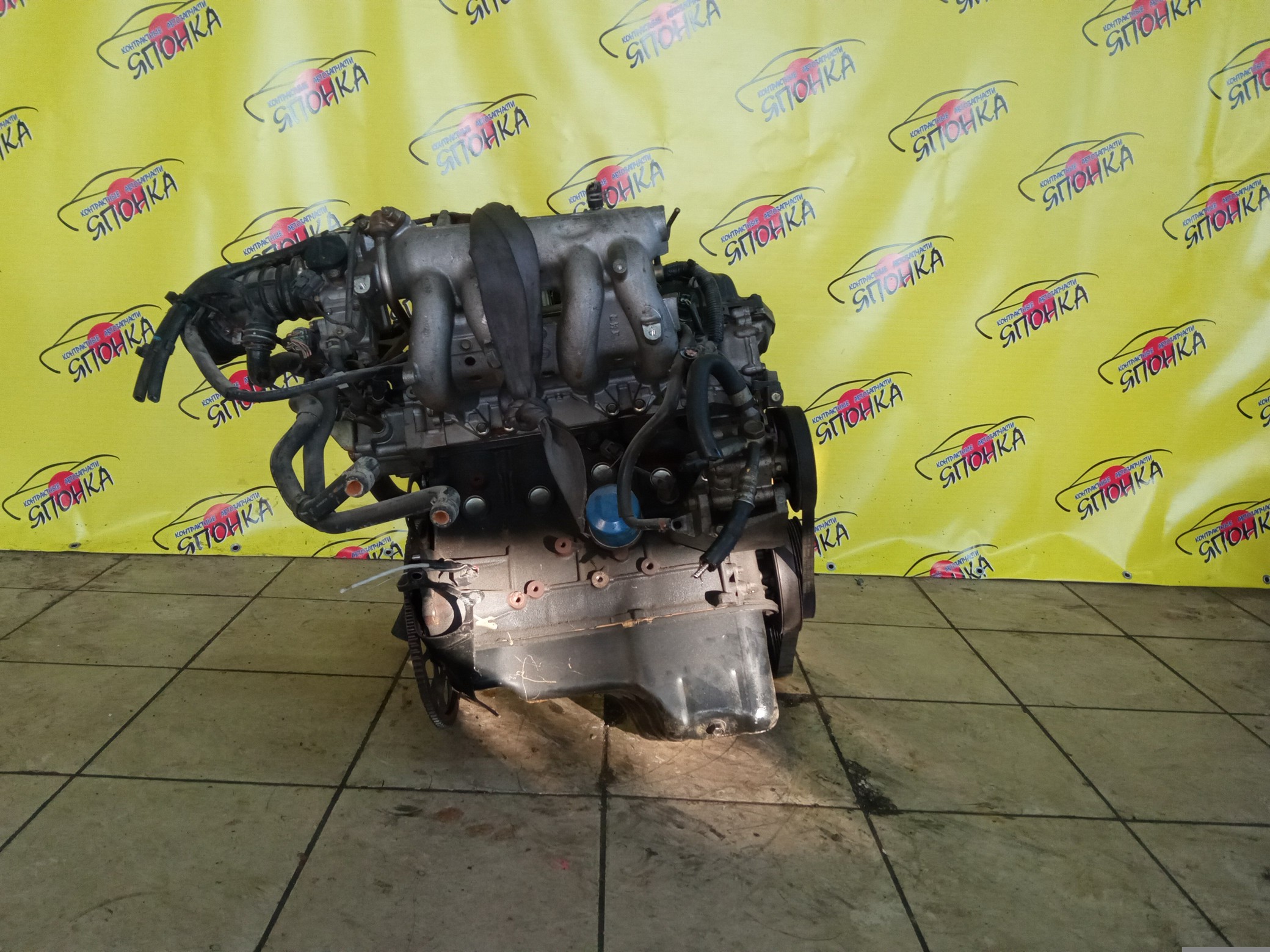 ДВС/NIS/QG16DE/AD/ALMERA/AVENIR/BLUEBIRD/BLUEBIRD SYLPHY/EXPERT/FAMILIA VAN/PRIMERA/PRIMERA CAMINO/TINO/WINGROAD/BVGY11/BVHNY11/N16/P12E/QG10/QNG10/QP12/V10/VGY11/VHNY11/VNW11/VW11/WFNY11/WHNY11/WHY11/BLACKHEAD/1010295F0B