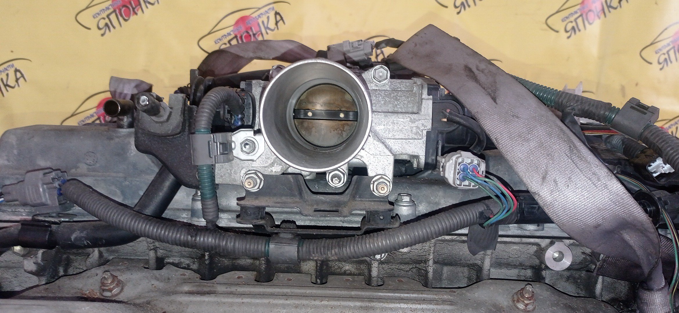 ДВС/TOY/2JZ VVTI/СВАП КОМПЛЕКТ/NEW/ДВС+АКПП